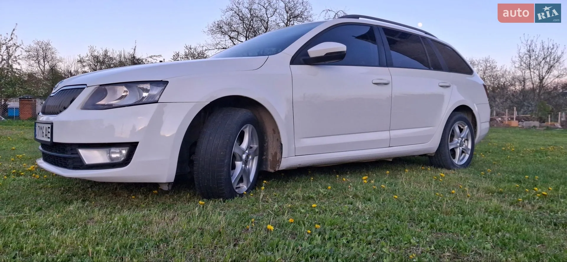 2014 Skoda Octavia - мініатюра 29