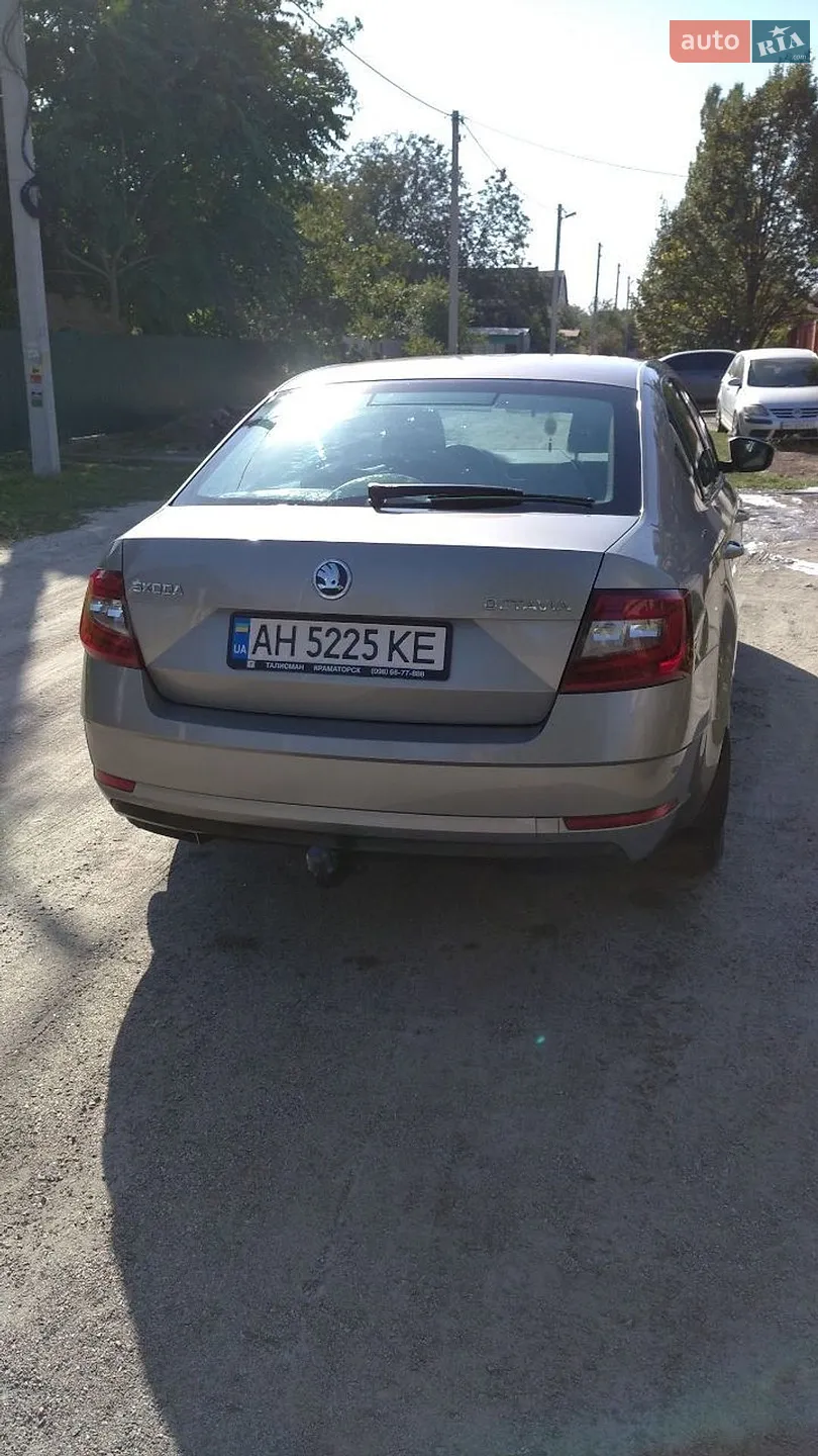 2018 Skoda Octavia - мініатюра 17