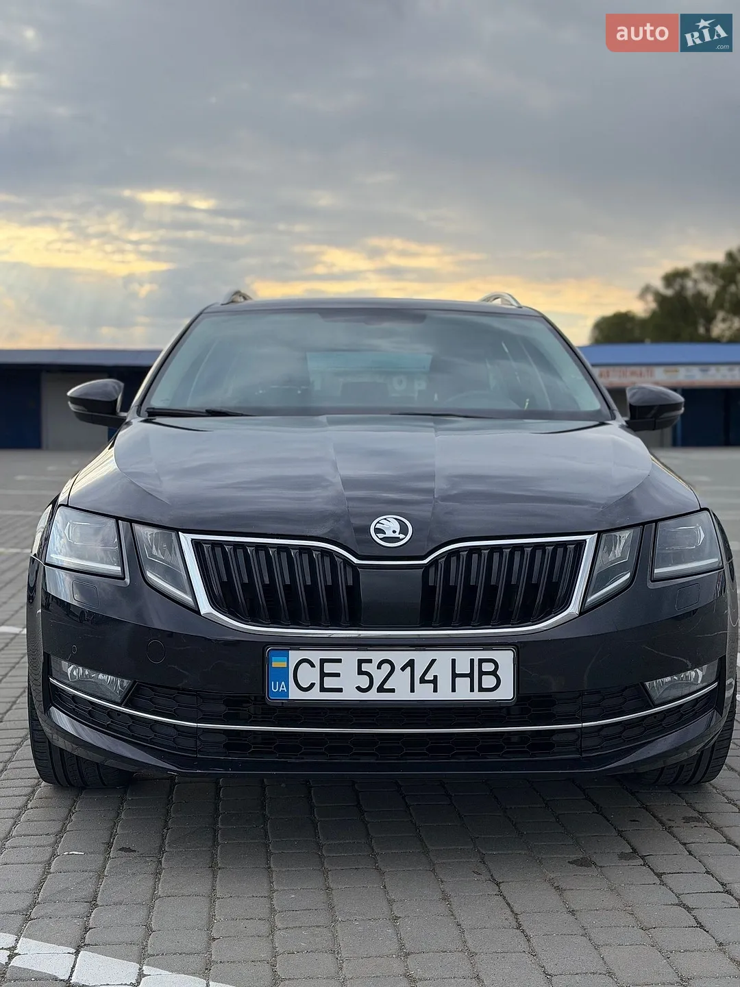 2019 Skoda Octavia - мініатюра 6