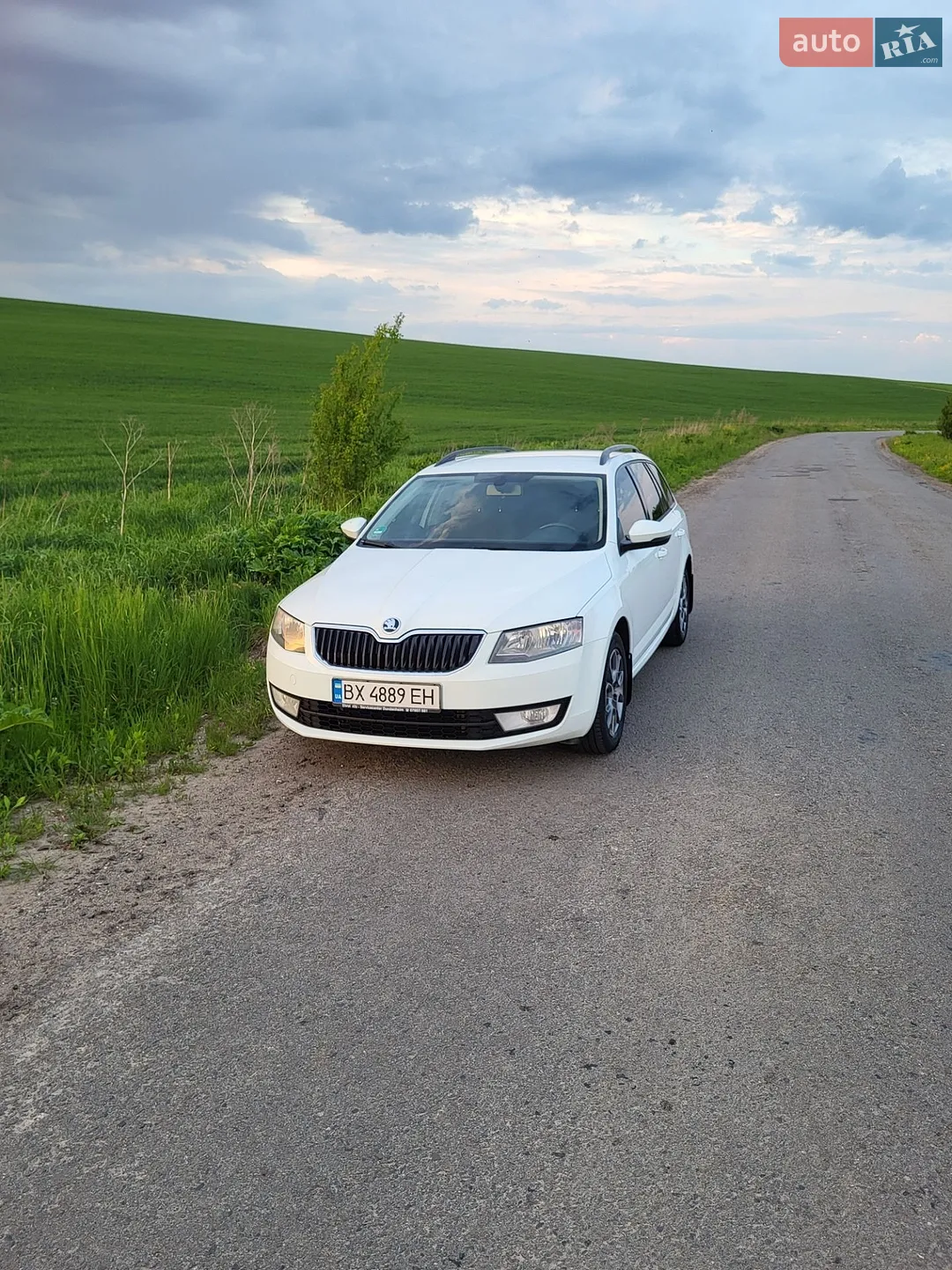 2015 Skoda Octavia - мініатюра 30