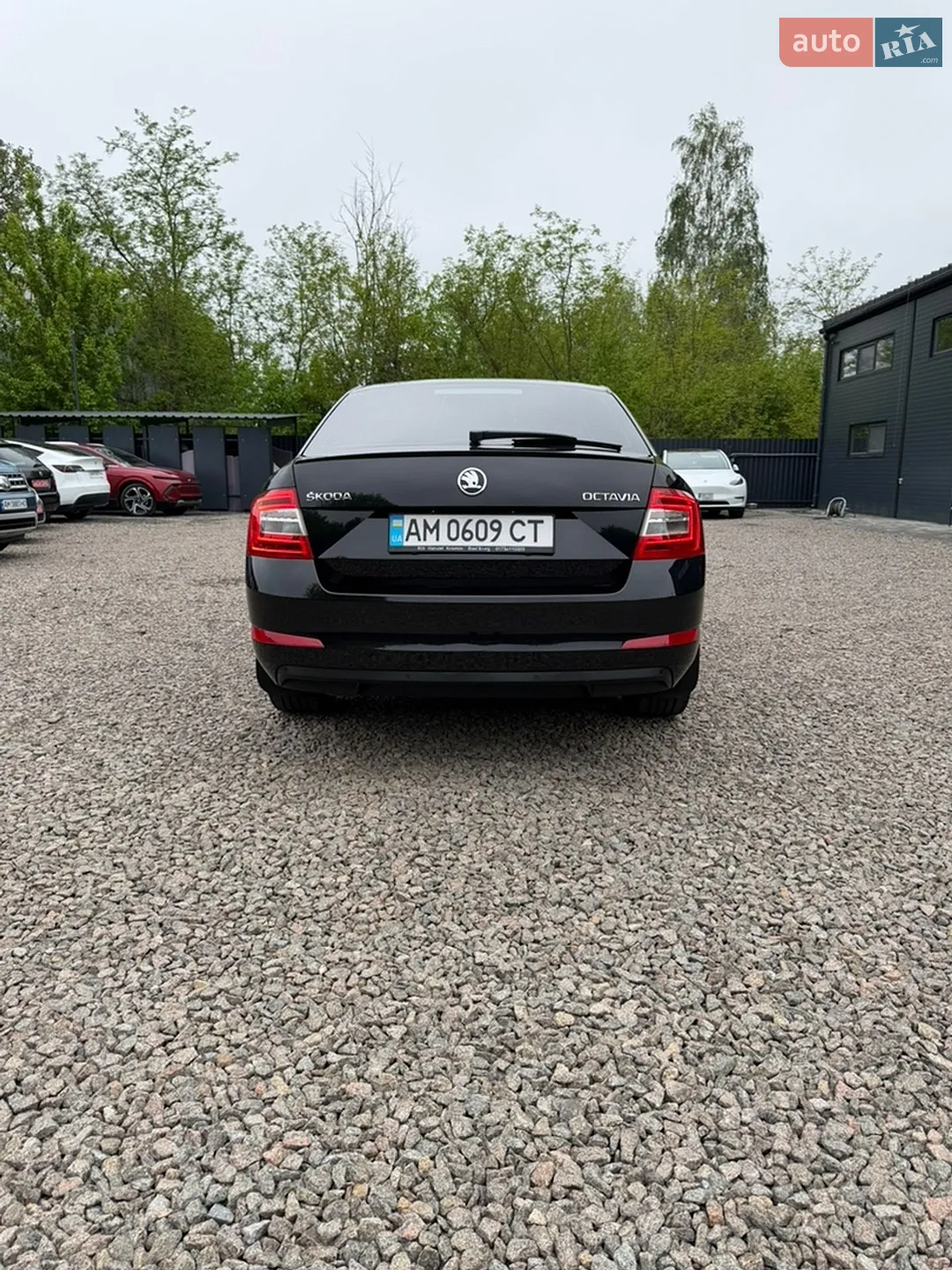 2015 Skoda Octavia - мініатюра 6