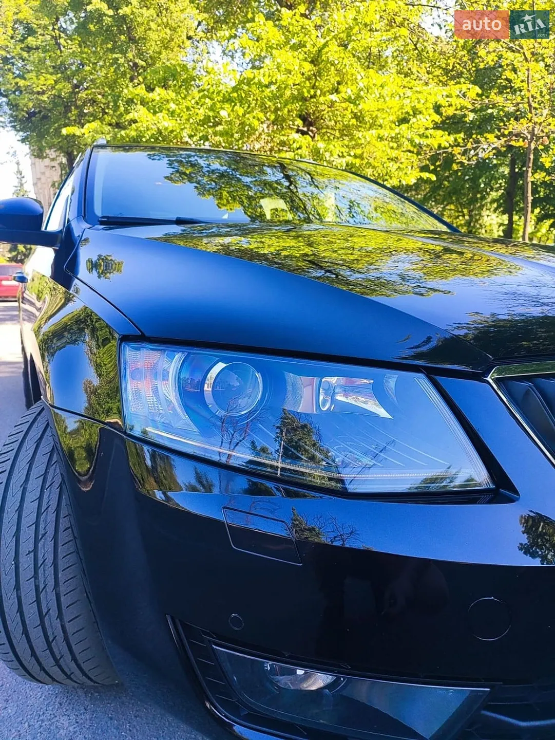 2015 Skoda Octavia - мініатюра 11