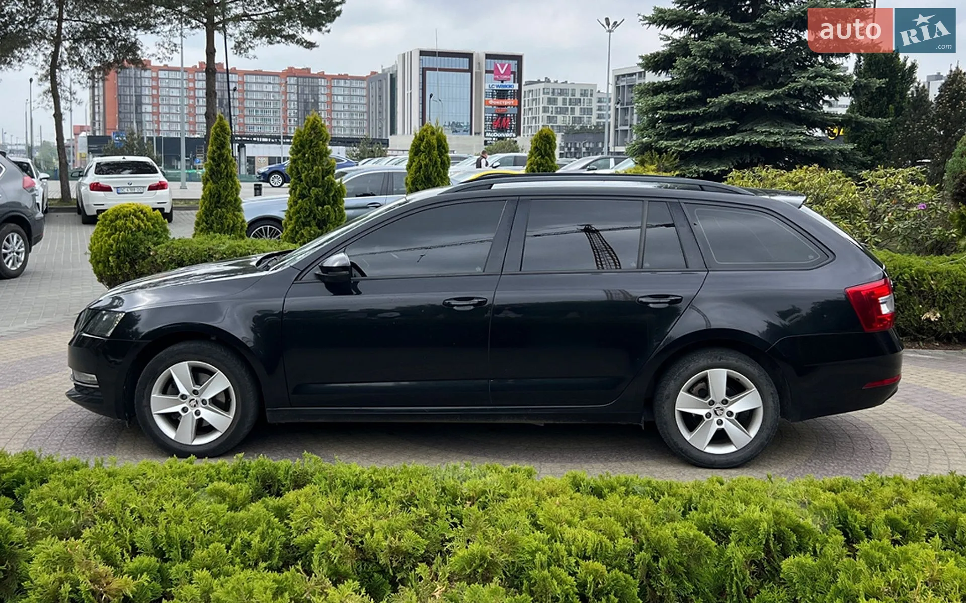 2019 Skoda Octavia - мініатюра 4