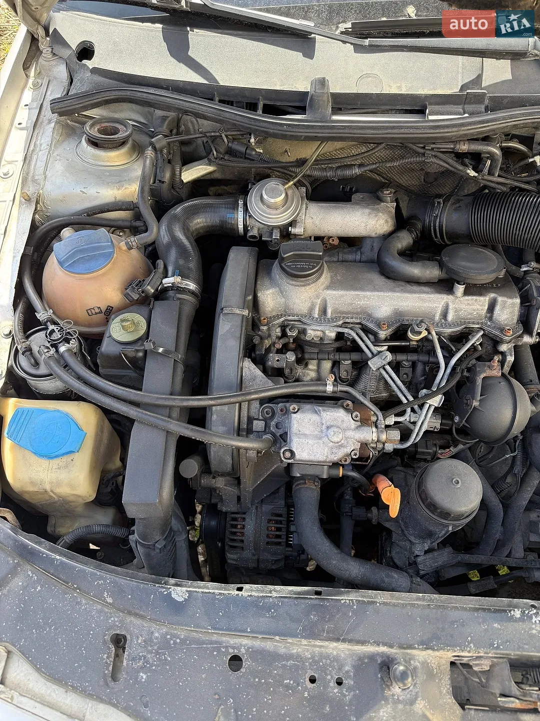 Skoda Octavia 2004 VIN TMBDG41U342906708 фото оголошення 10 з 13