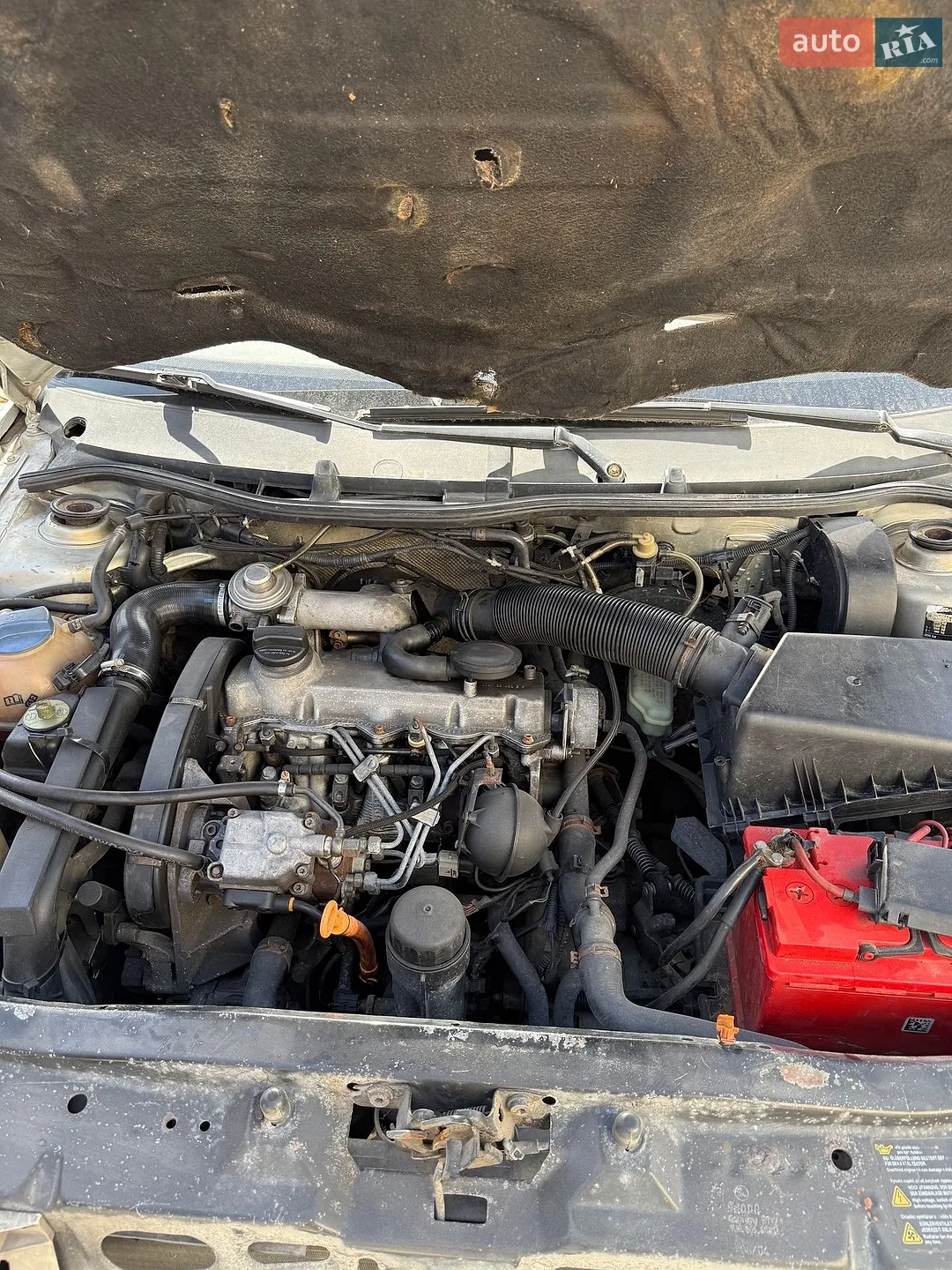 Skoda Octavia 2004 VIN TMBDG41U342906708 фото оголошення 12 з 13