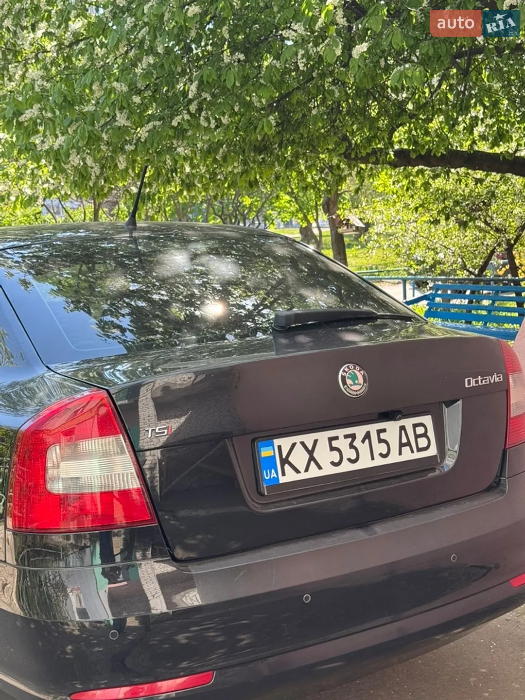 2011 Skoda Octavia - мініатюра 5