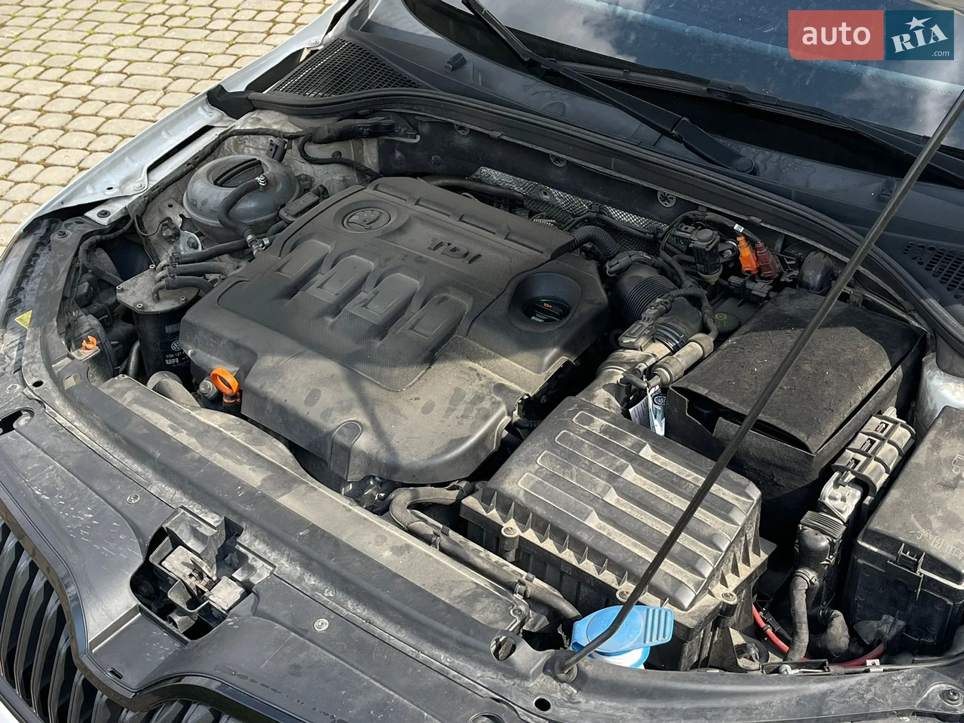 2013 Skoda Octavia - мініатюра 5
