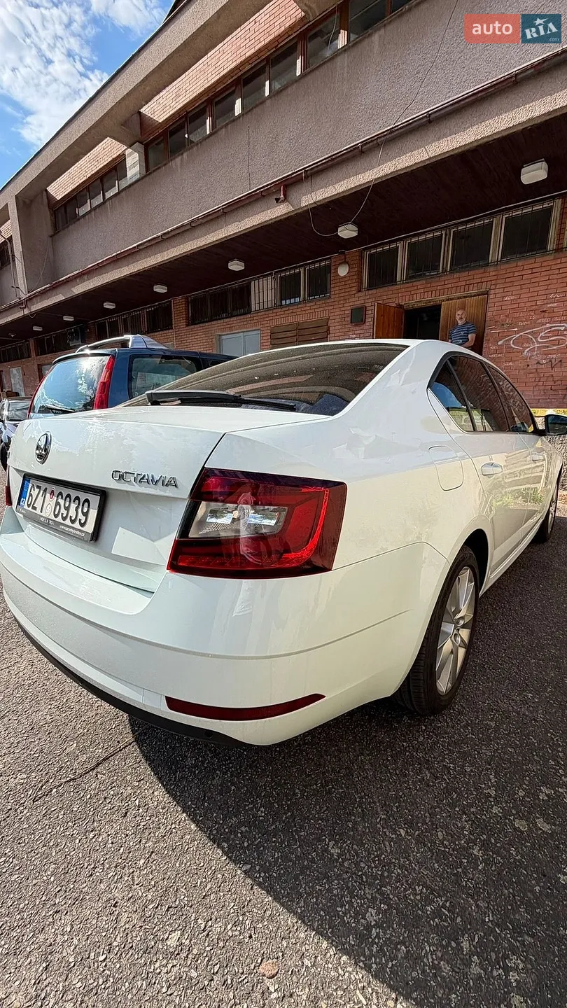 2019 Skoda Octavia - мініатюра 13