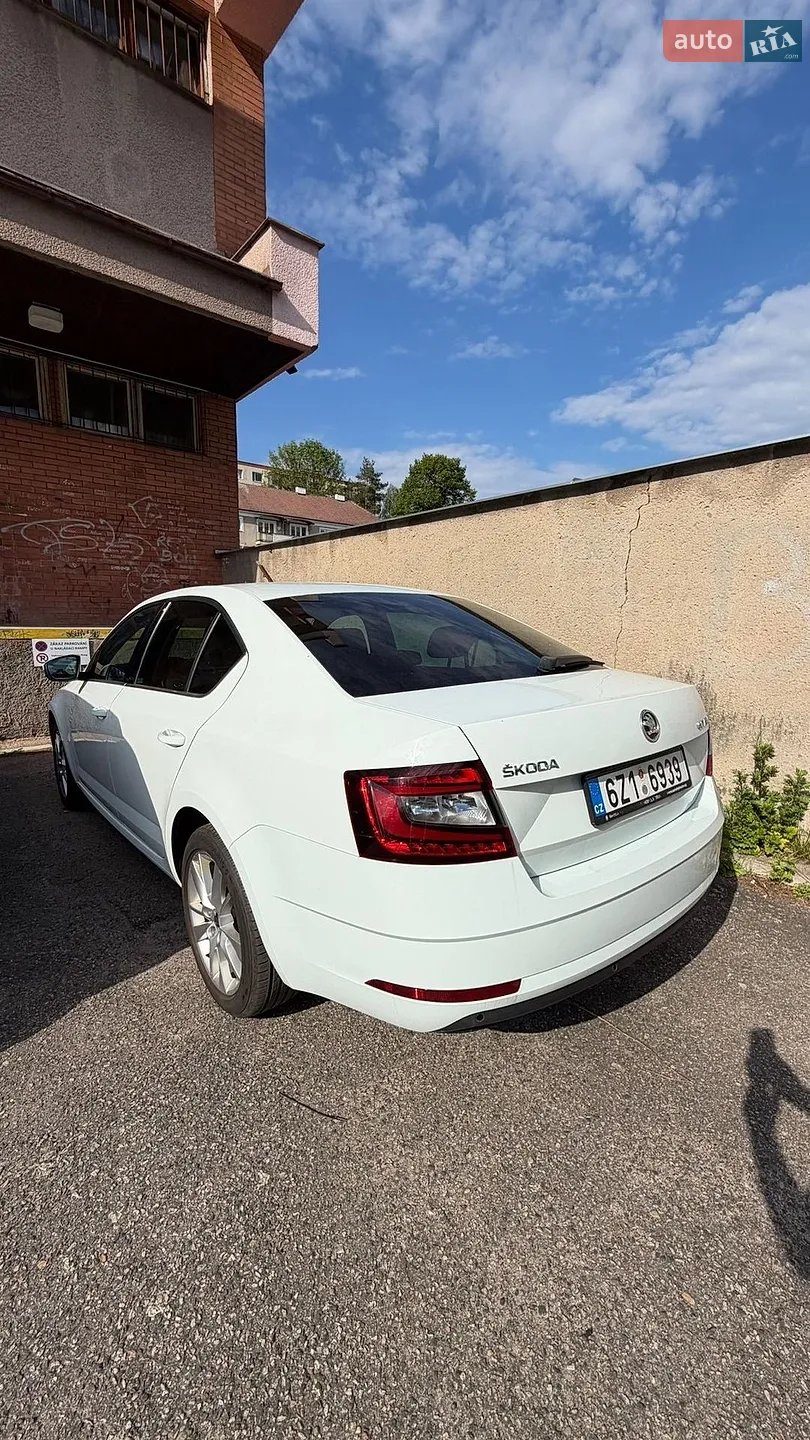 2019 Skoda Octavia - мініатюра 14