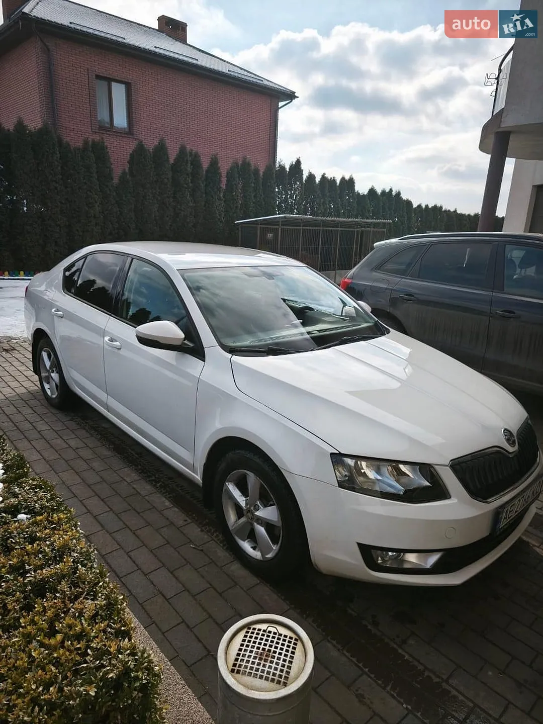 2013 Skoda Octavia - мініатюра 3