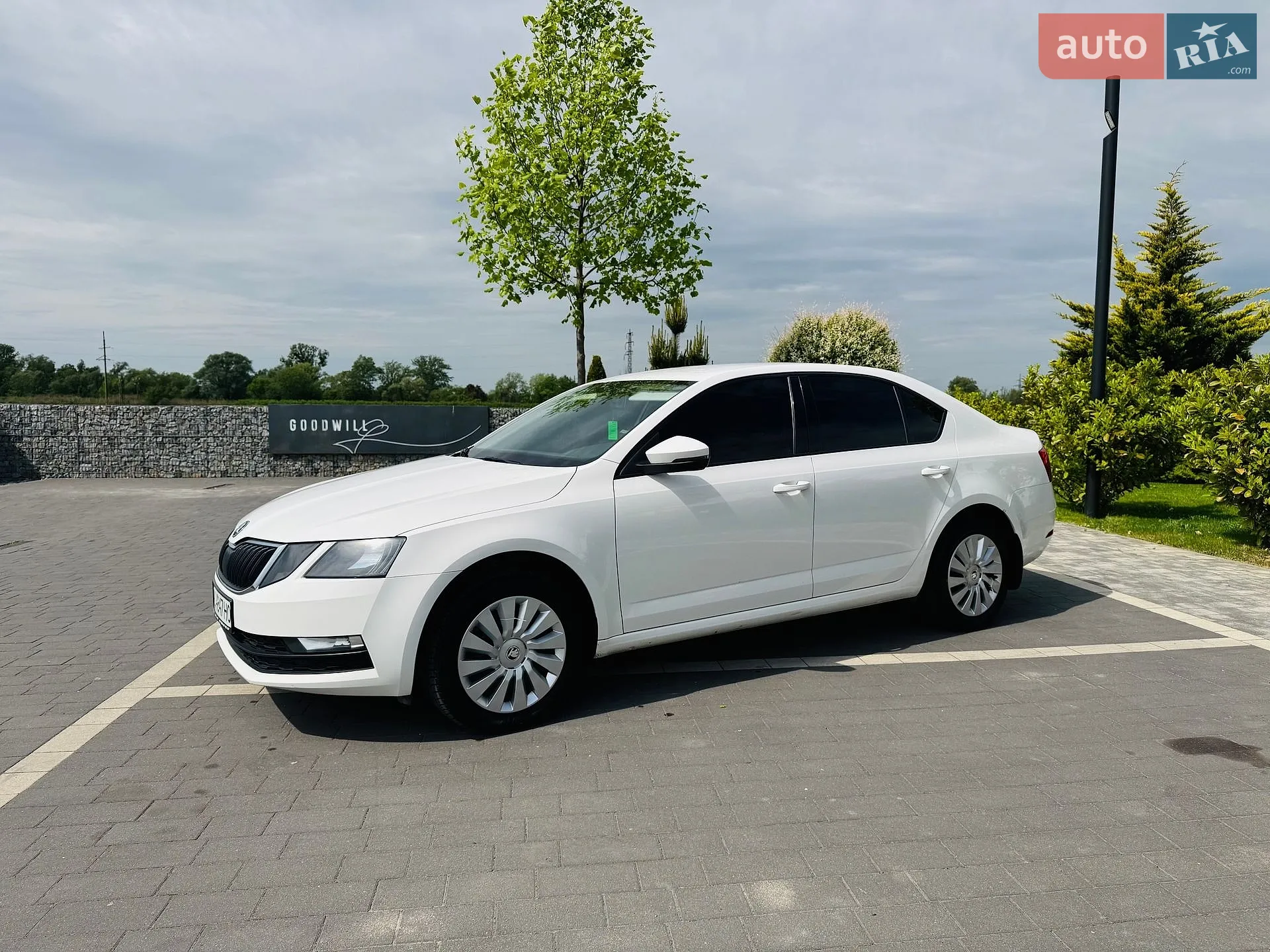 2017 Skoda Octavia - мініатюра 6