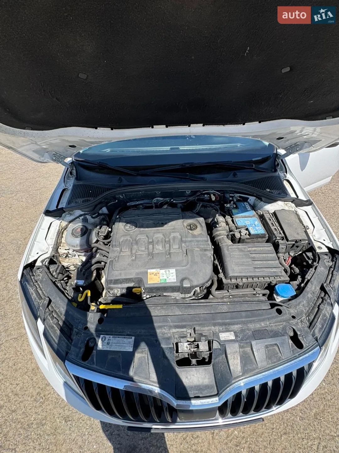 2019 Skoda Octavia - мініатюра 15