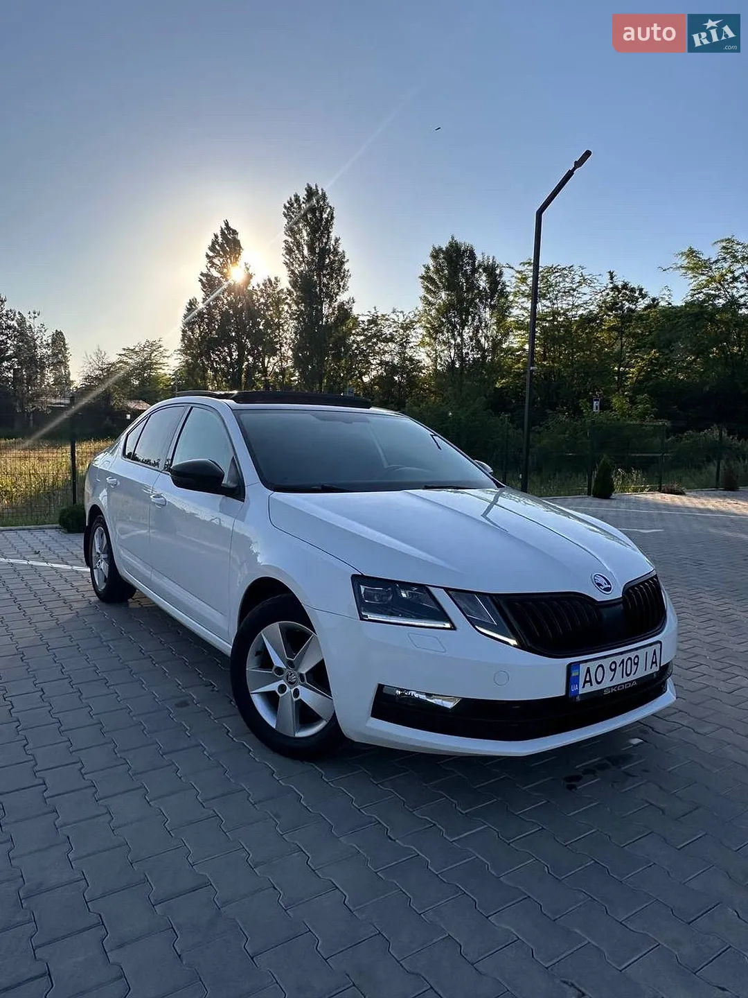 2019 Skoda Octavia - фото 1