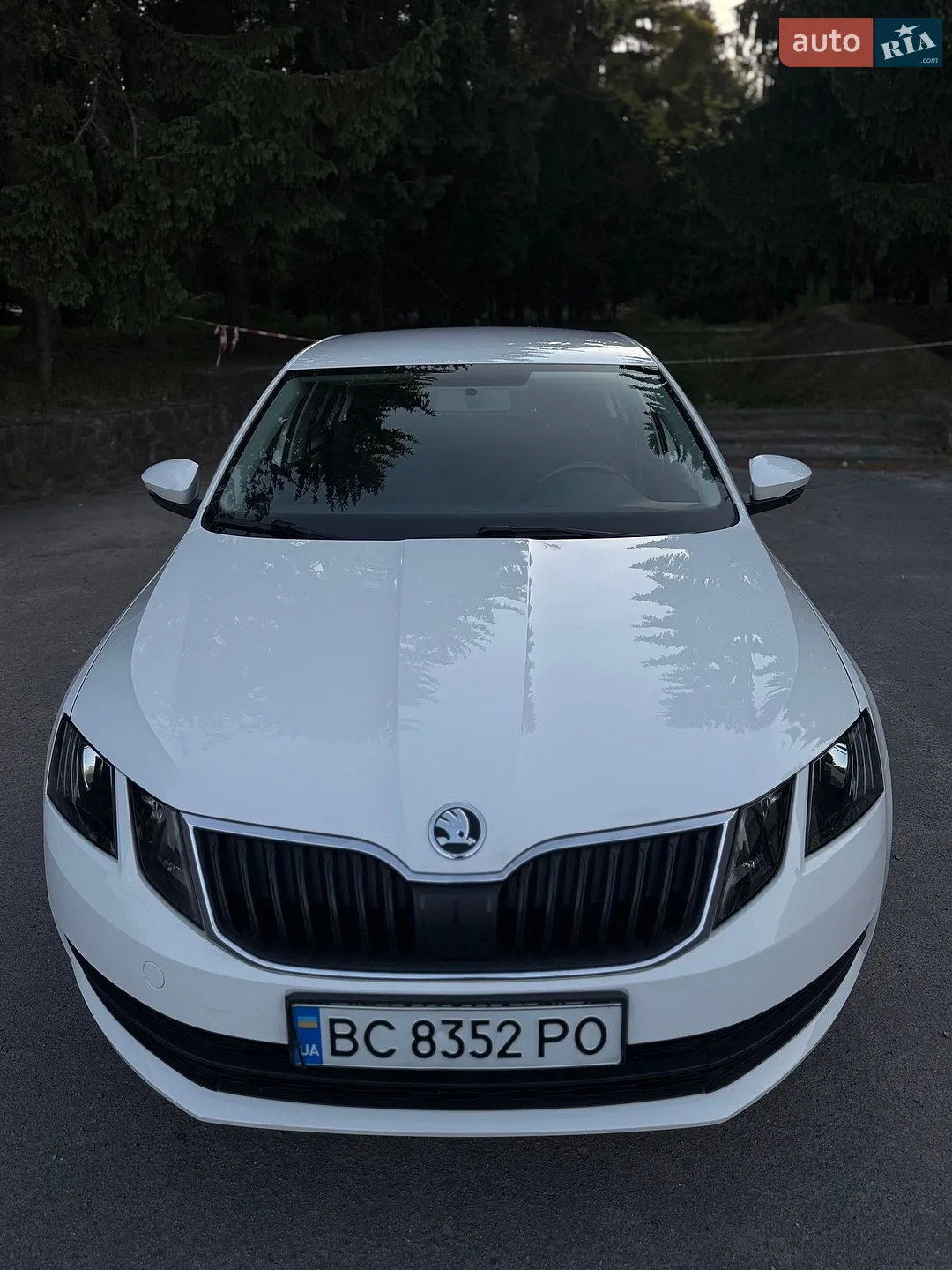 2019 Skoda Octavia - мініатюра 2