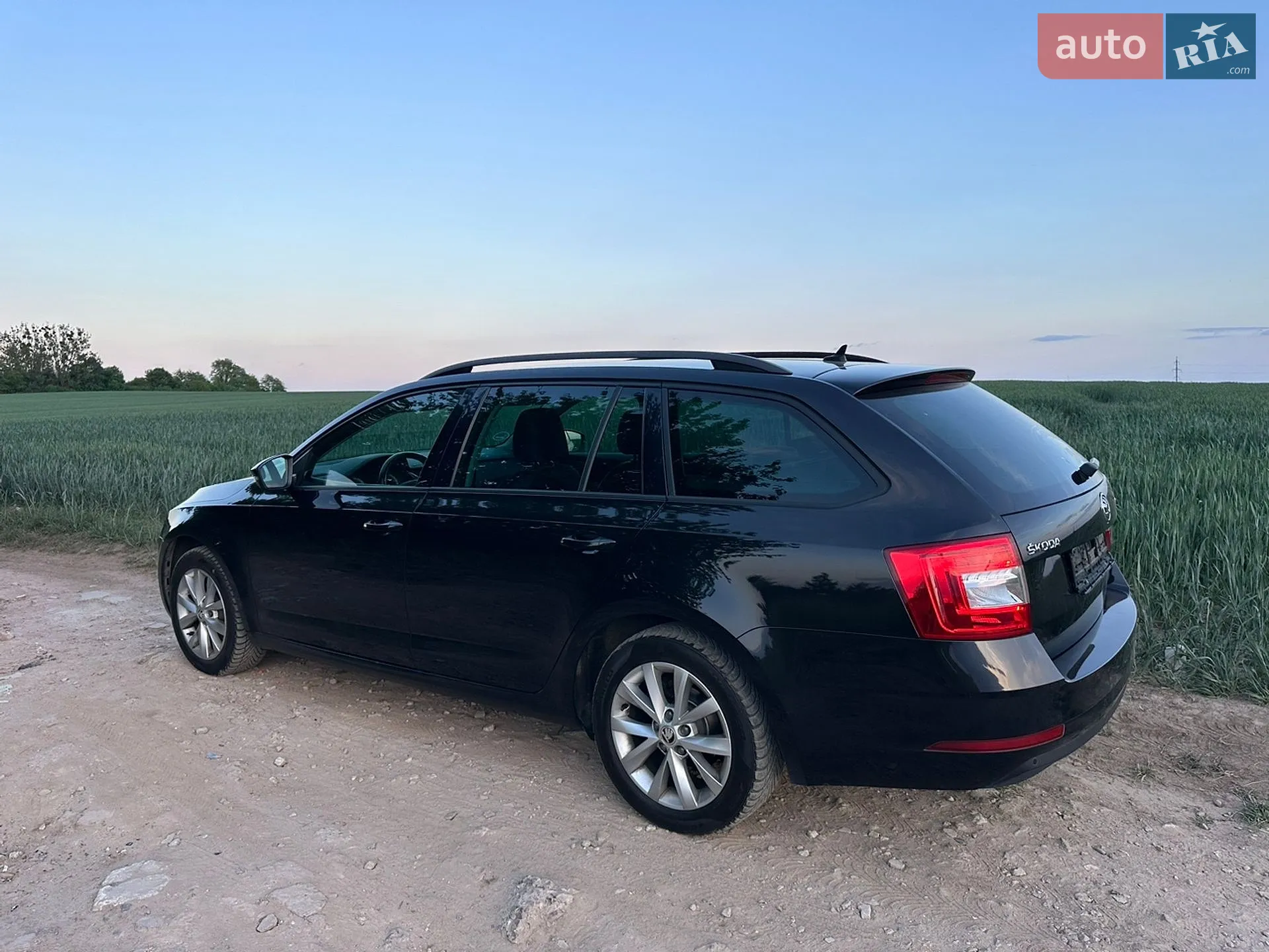 2019 Skoda Octavia - мініатюра 4