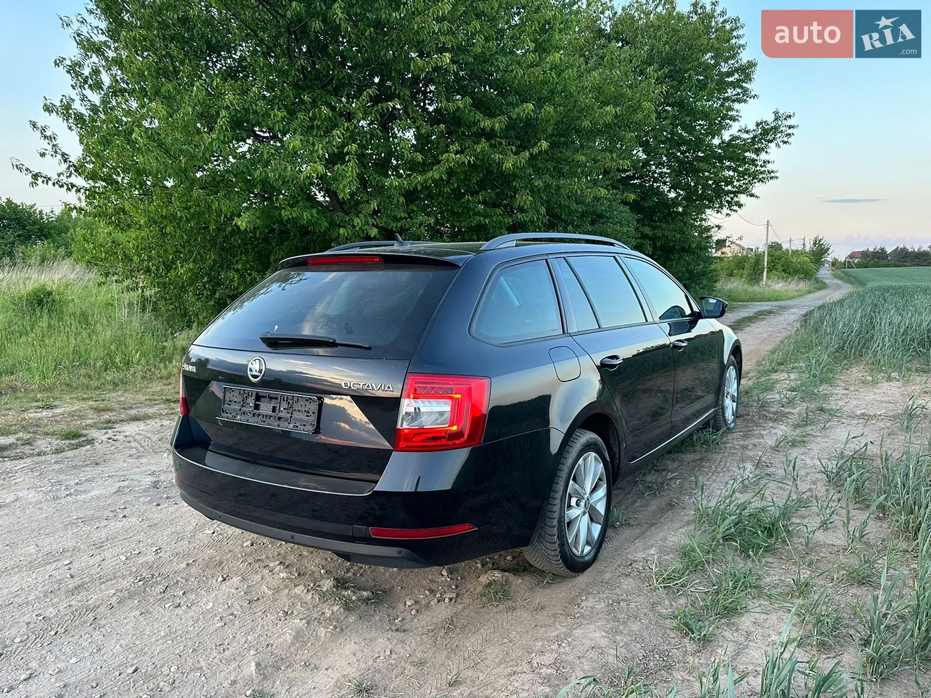 2019 Skoda Octavia - мініатюра 3