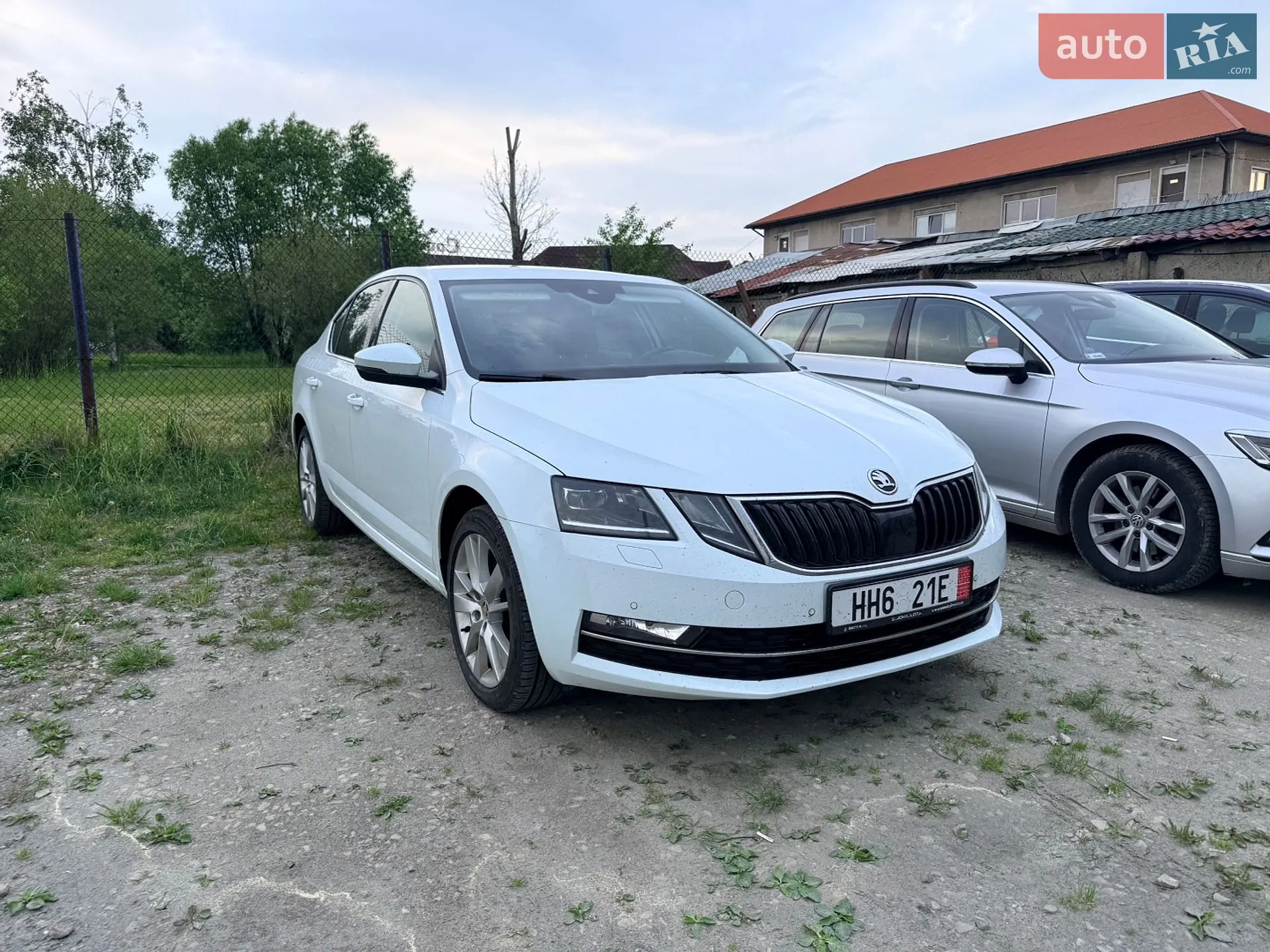 2019 Skoda Octavia - мініатюра 4