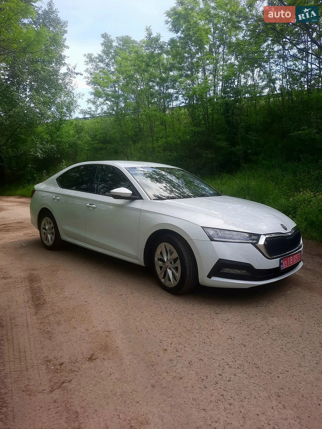 2020 Skoda Octavia - мініатюра 10