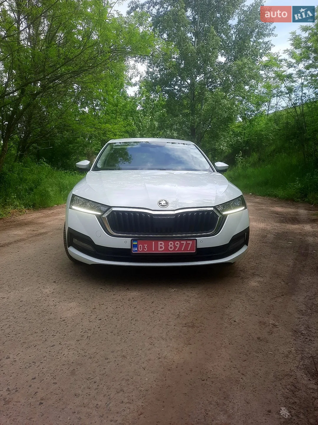 2020 Skoda Octavia - мініатюра 3