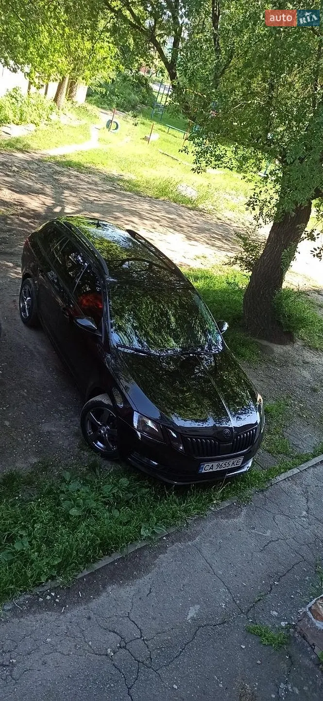 2019 Skoda Octavia - фото 1