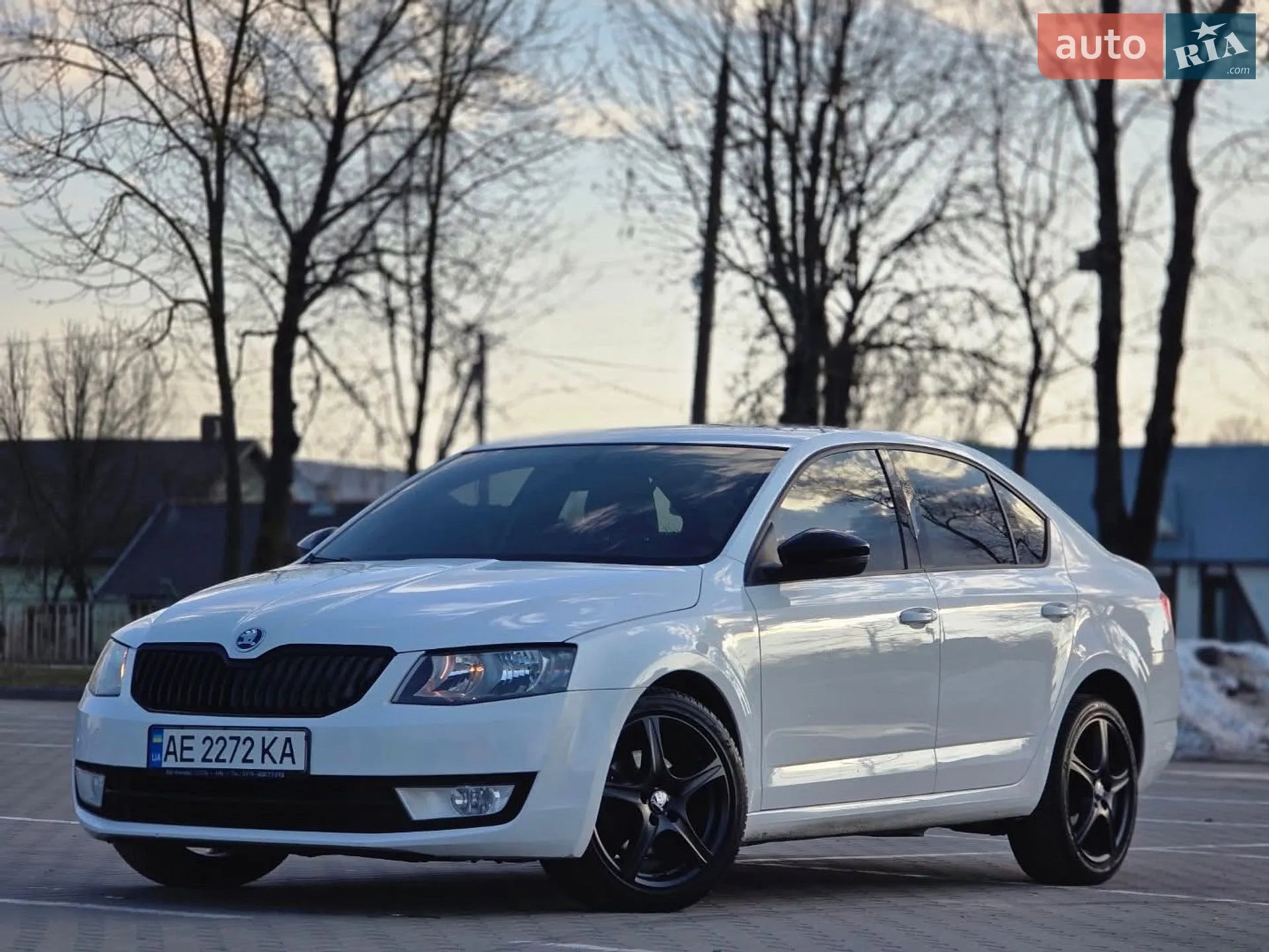 2013 Skoda Octavia - фото 1