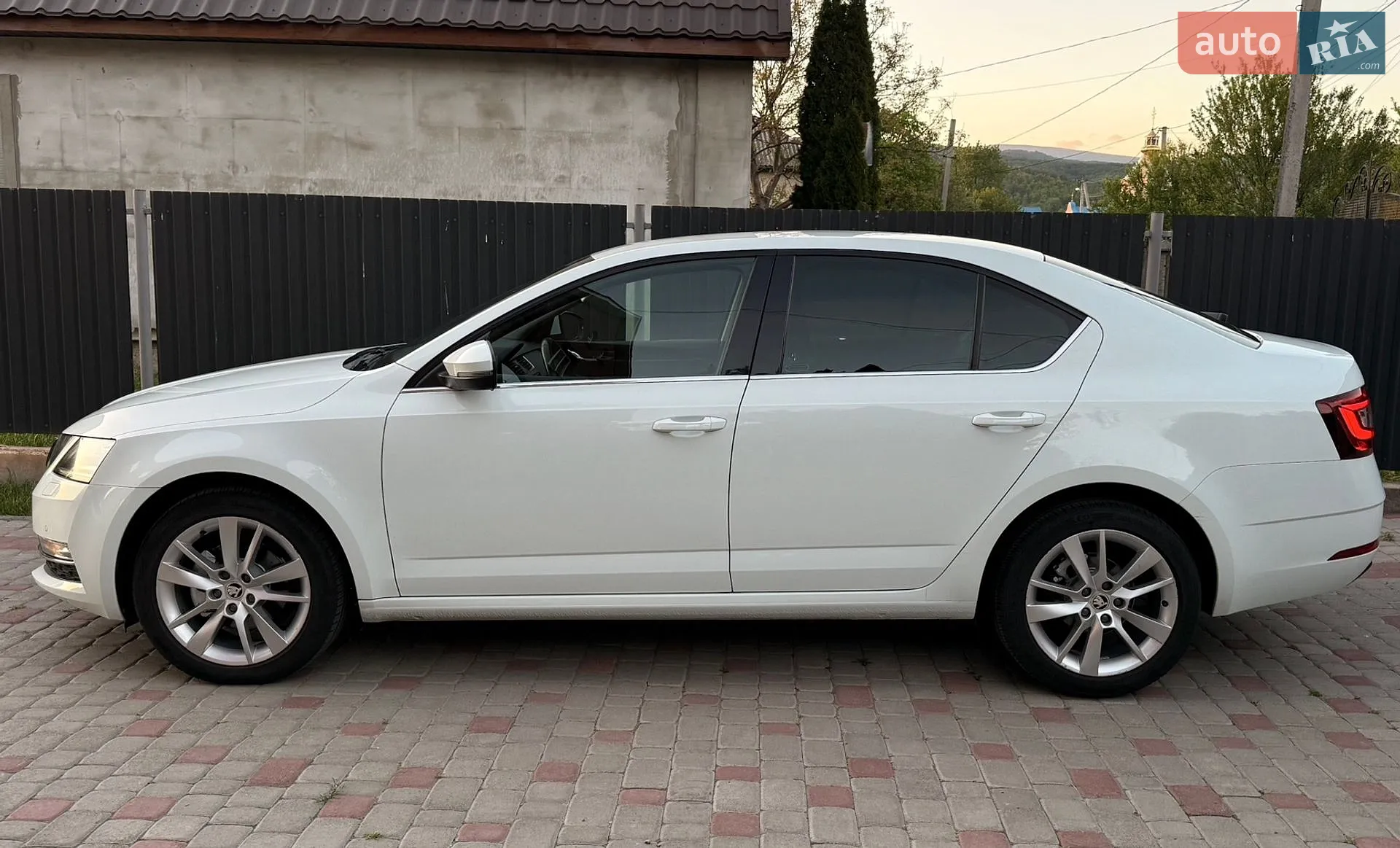 2019 Skoda Octavia - мініатюра 11