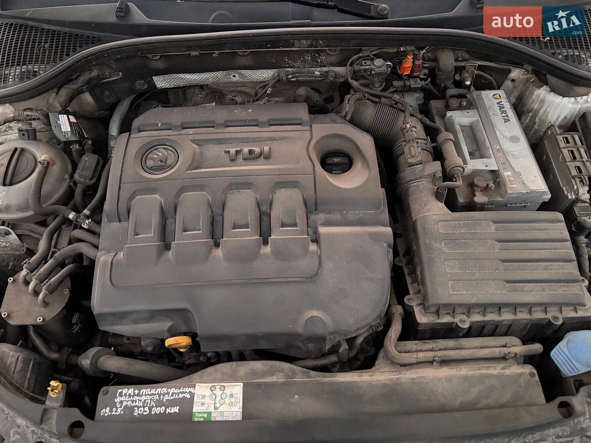 2013 Skoda Octavia - мініатюра 3