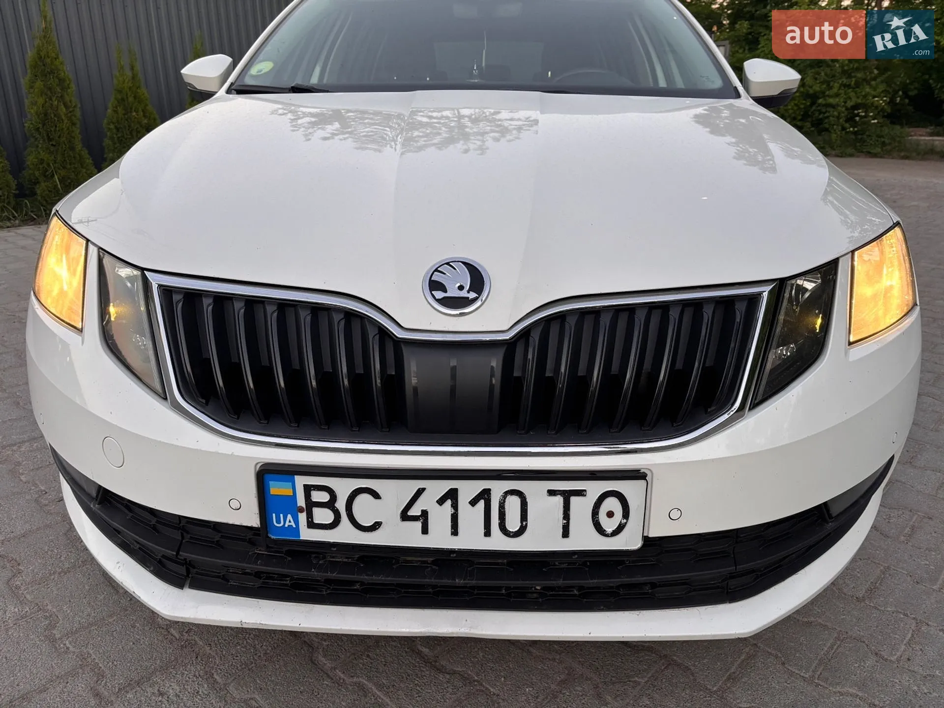2019 Skoda Octavia - мініатюра 10