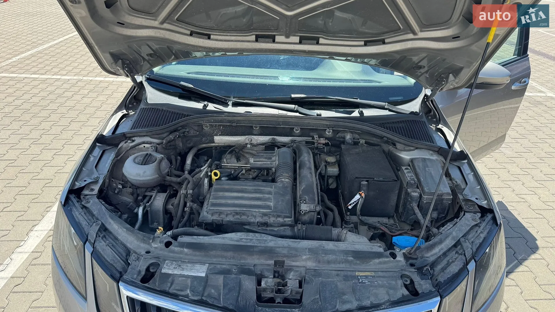 2017 Skoda Octavia - мініатюра 50