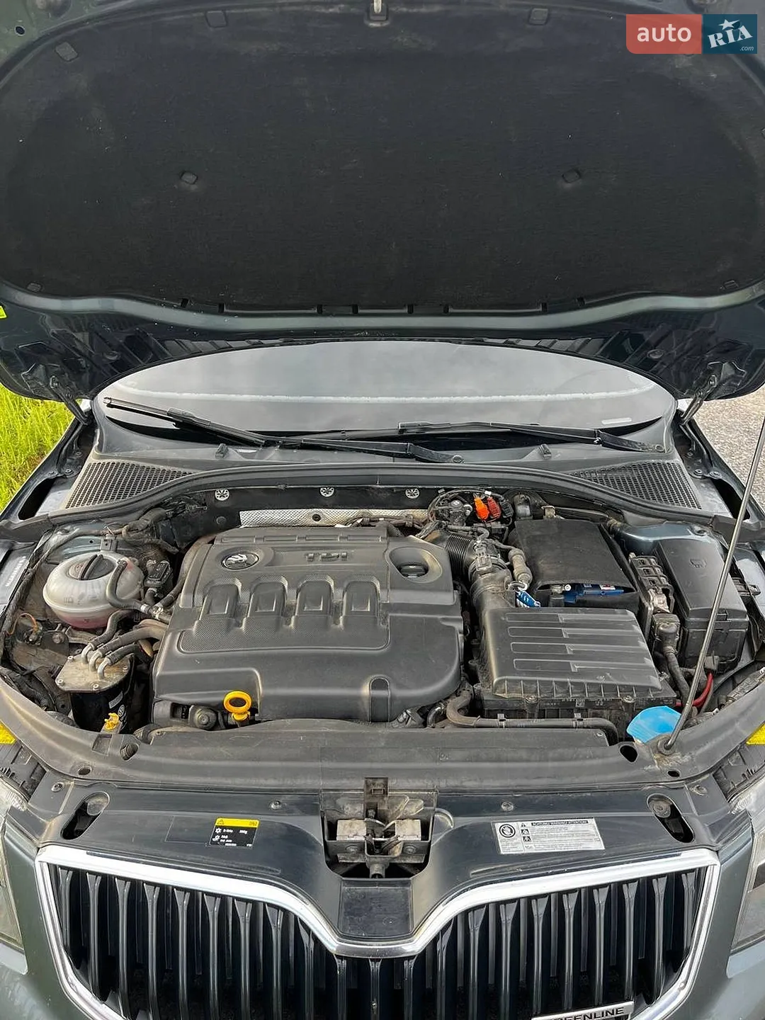2014 Skoda Octavia - мініатюра 9