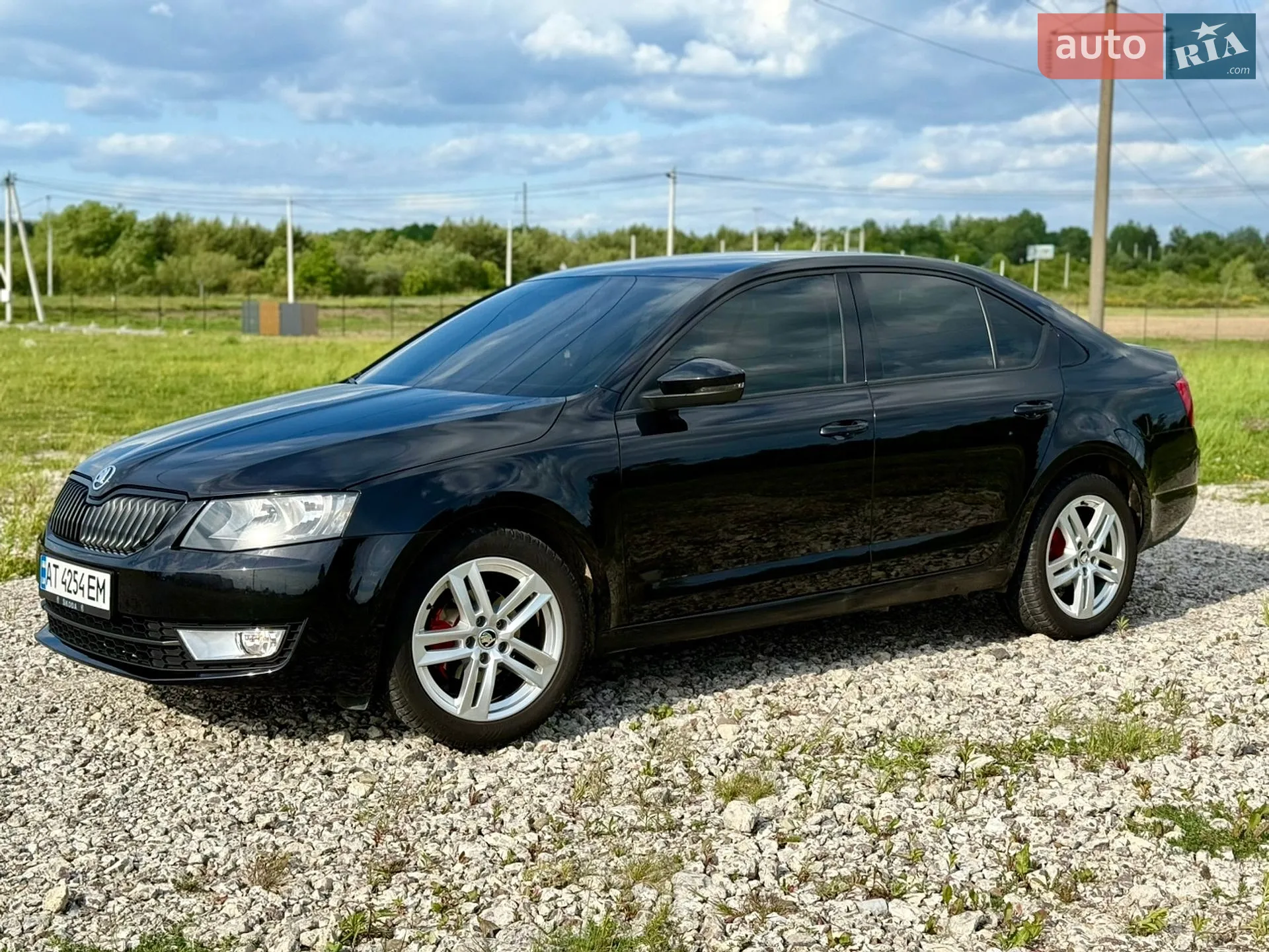 2014 Skoda Octavia - мініатюра 9