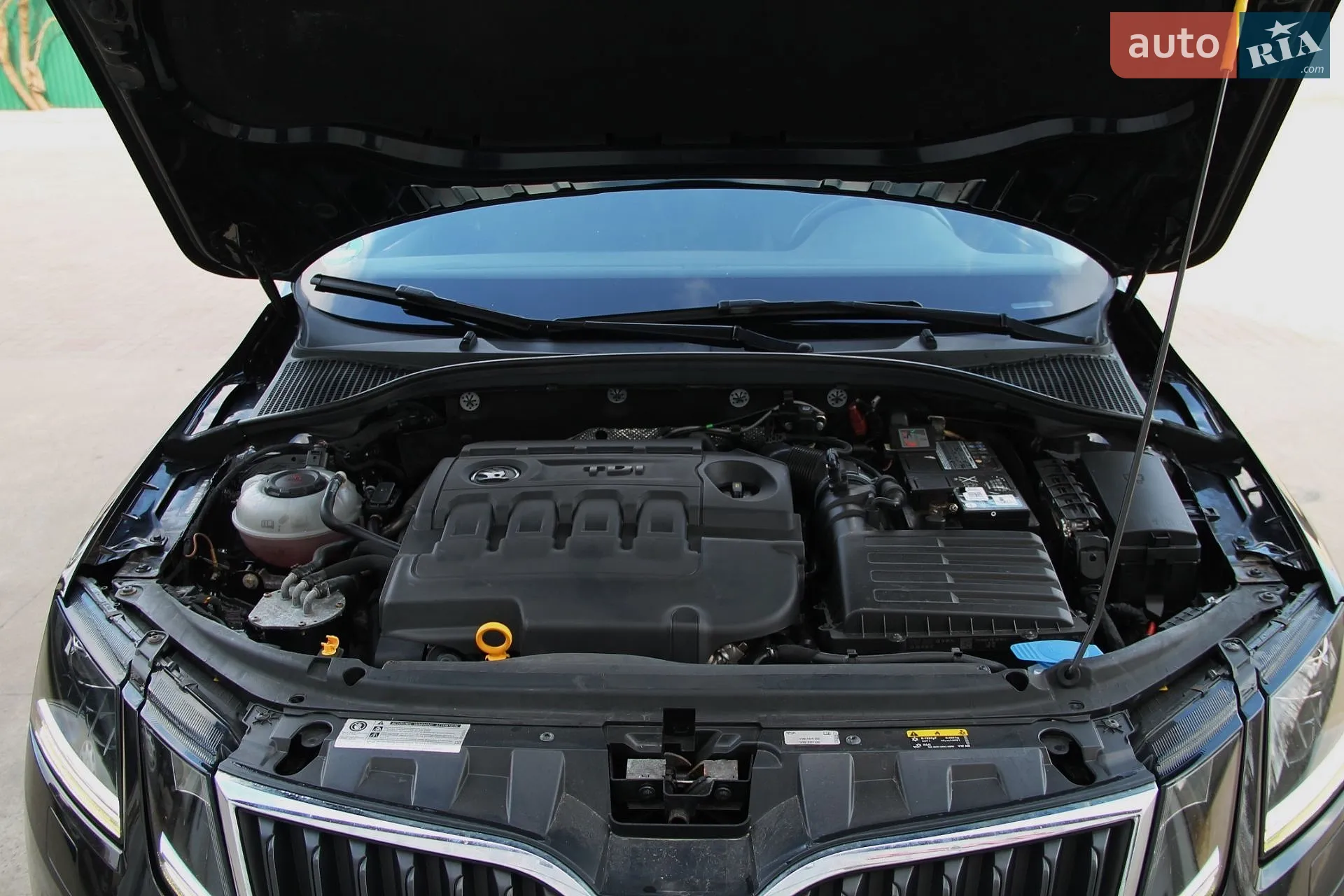 2019 Skoda Octavia - мініатюра 12
