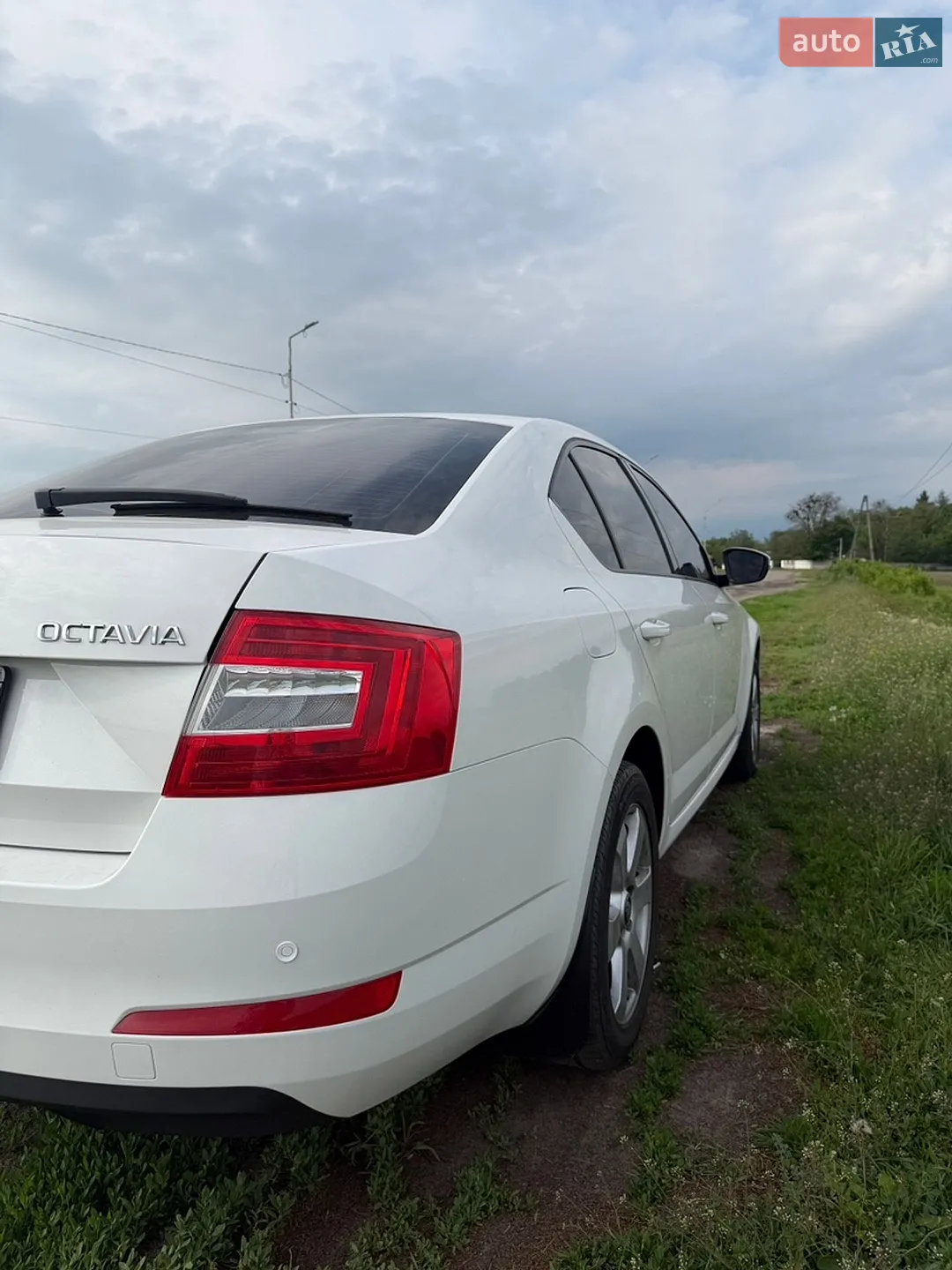 2017 Skoda Octavia - мініатюра 6