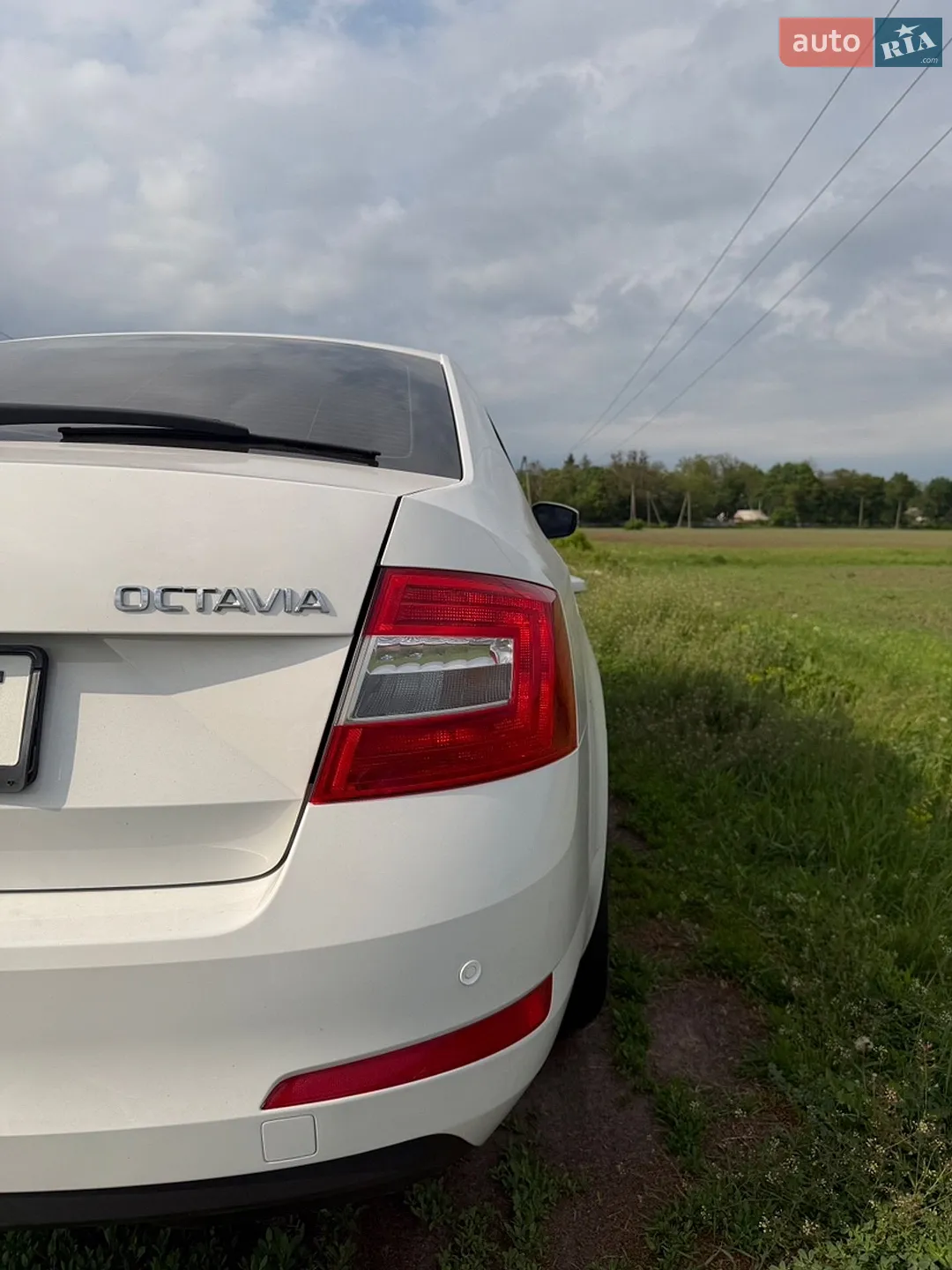 2017 Skoda Octavia - мініатюра 8