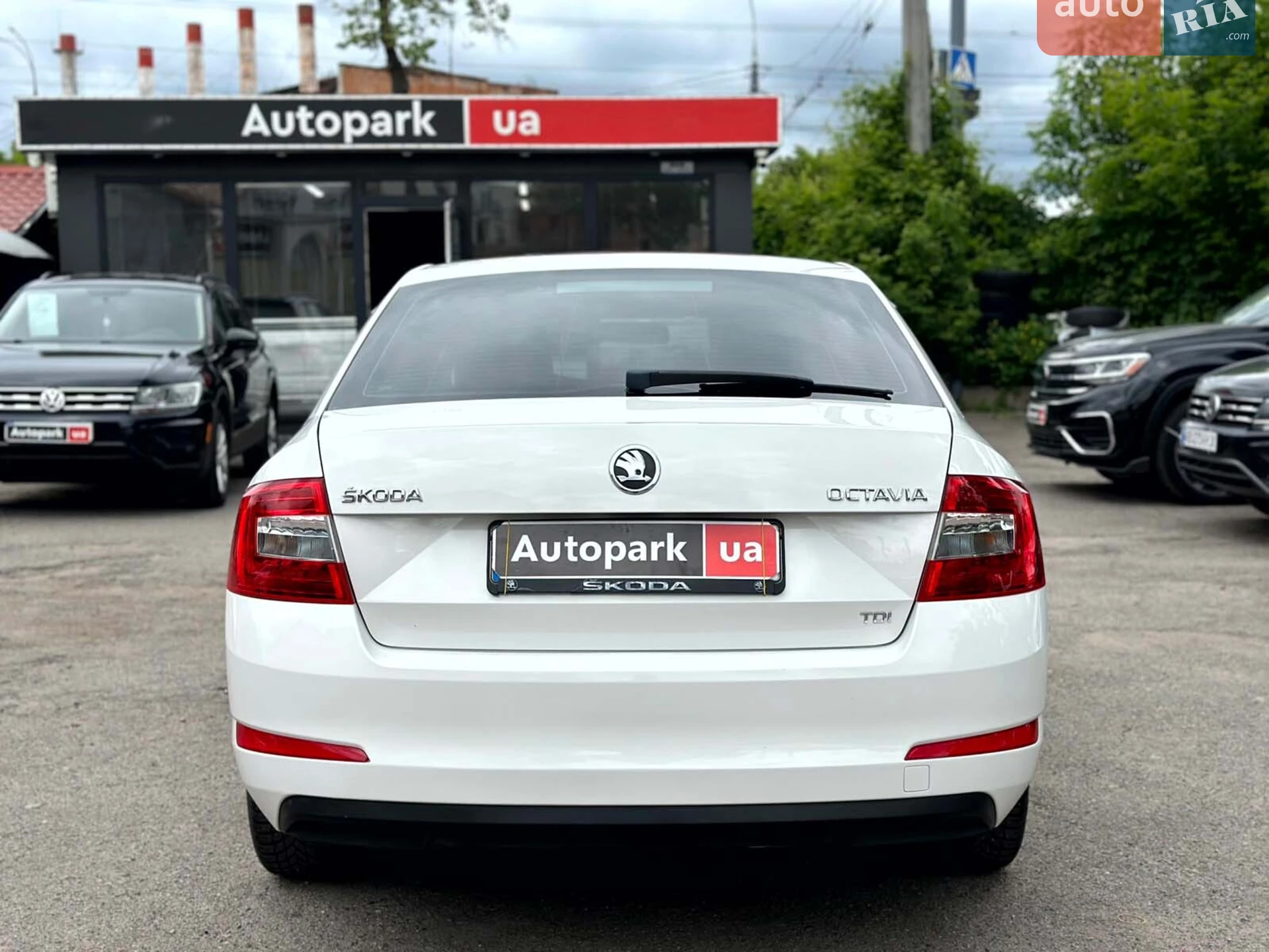 2013 Skoda Octavia - мініатюра 14
