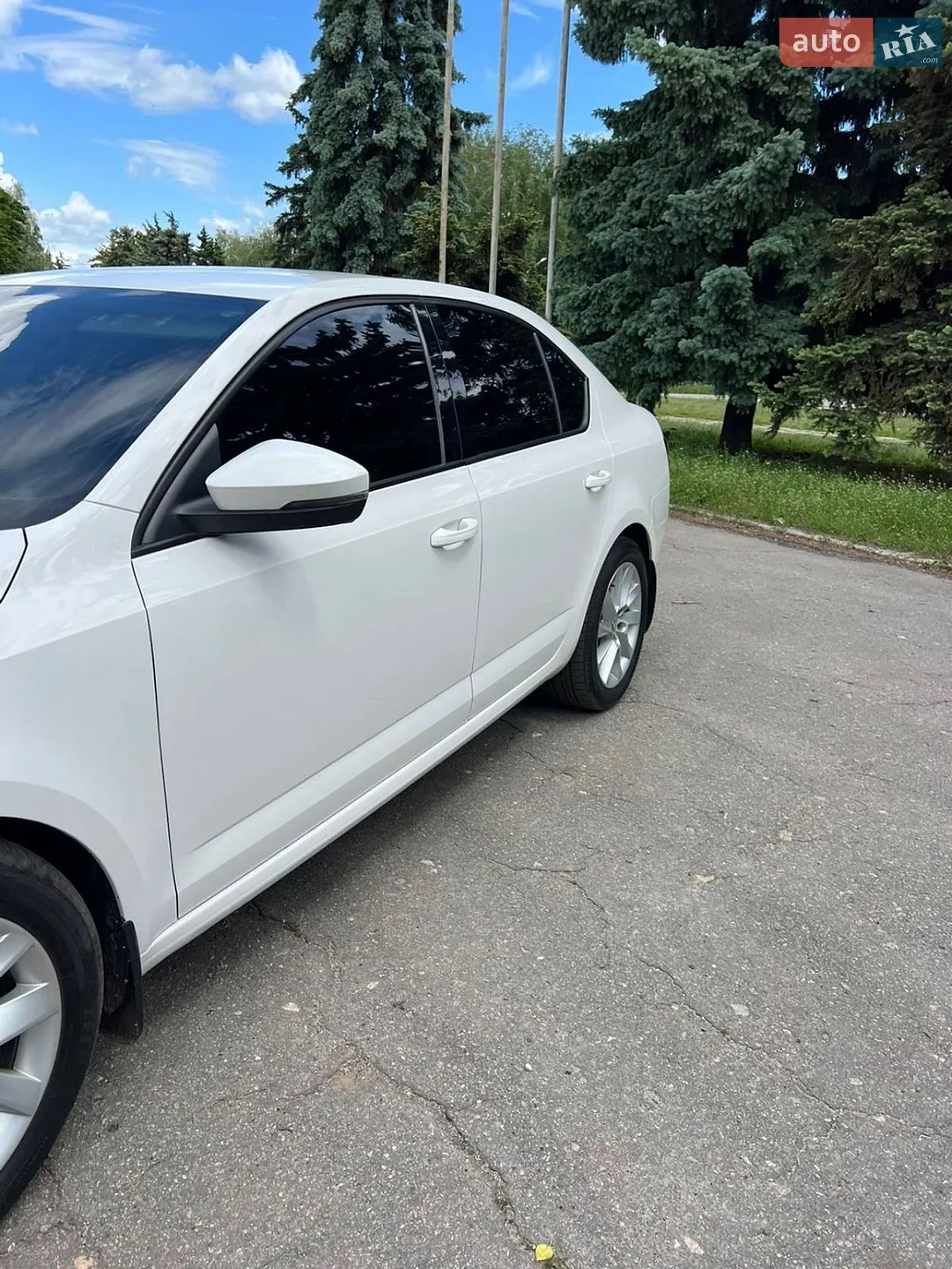 2018 Skoda Octavia - мініатюра 10