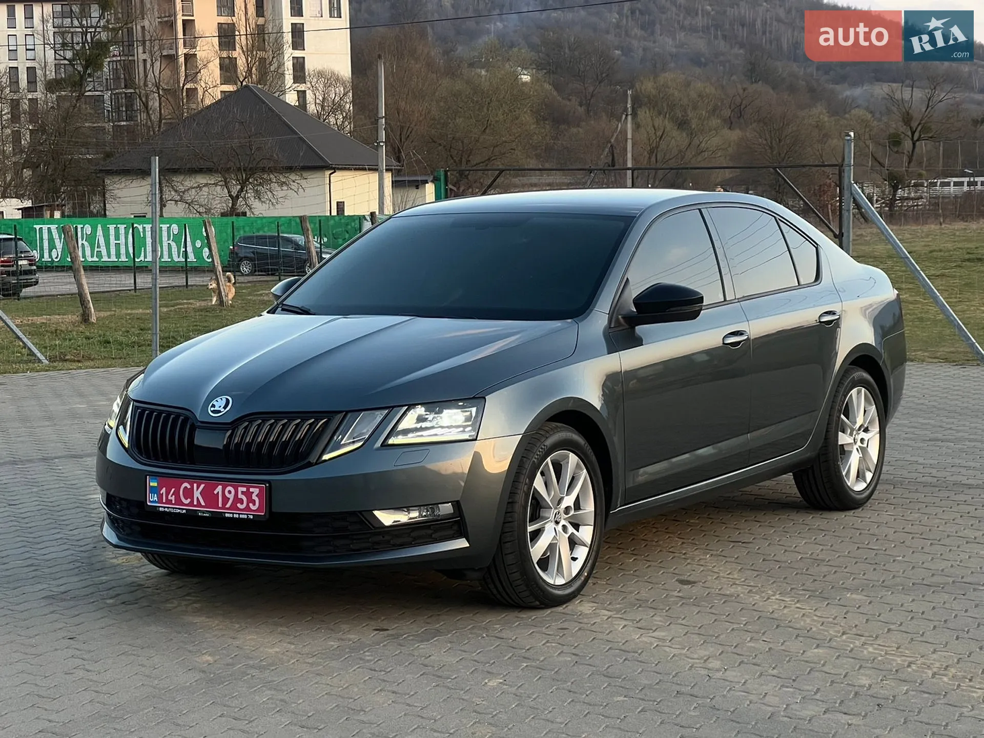 2019 Skoda Octavia - мініатюра 5