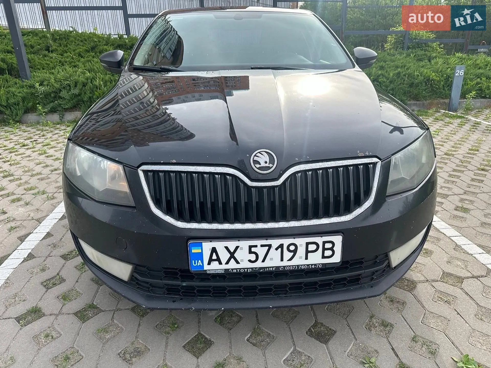 2014 Skoda Octavia - мініатюра 13