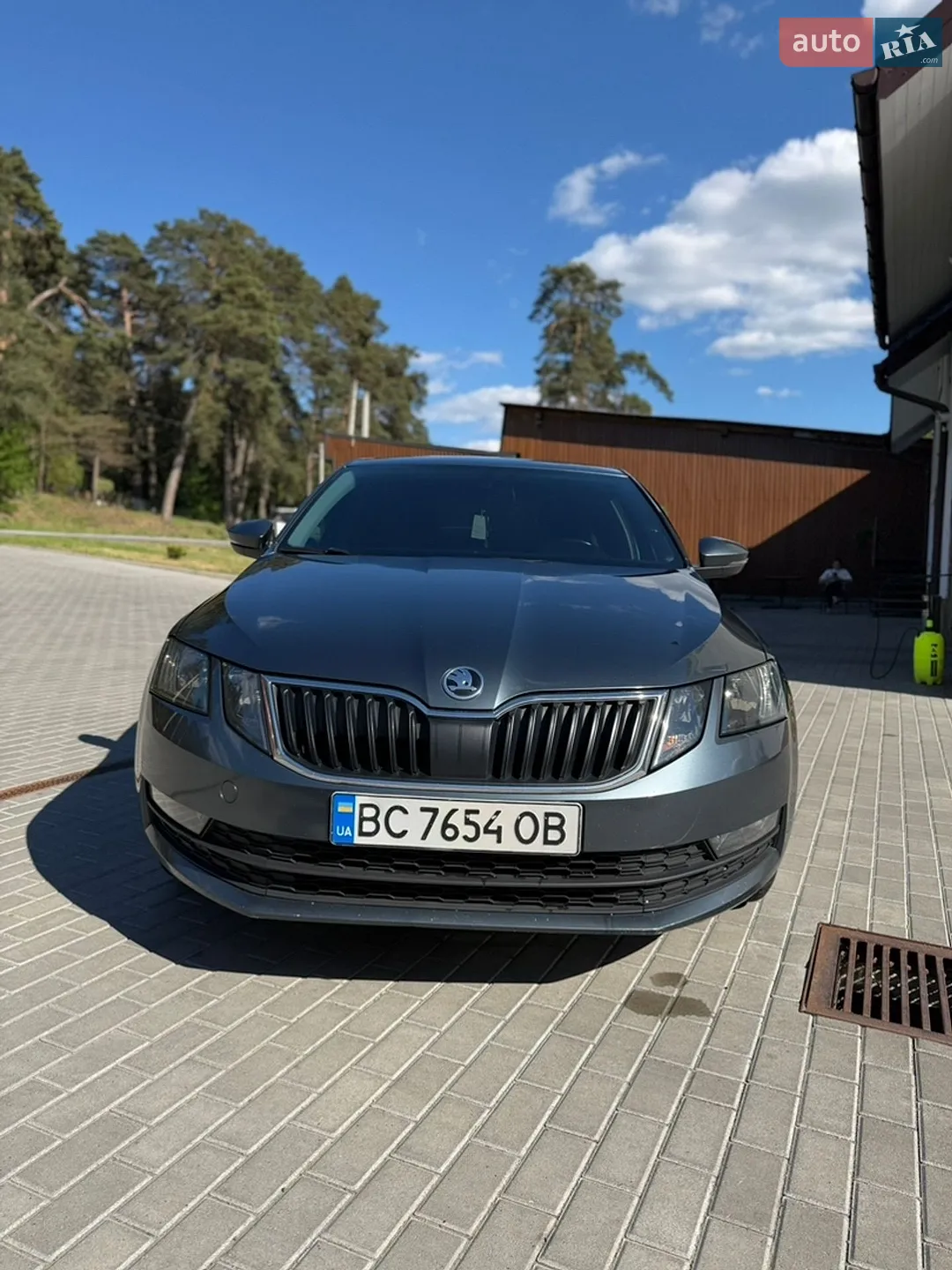 2019 Skoda Octavia - мініатюра 2