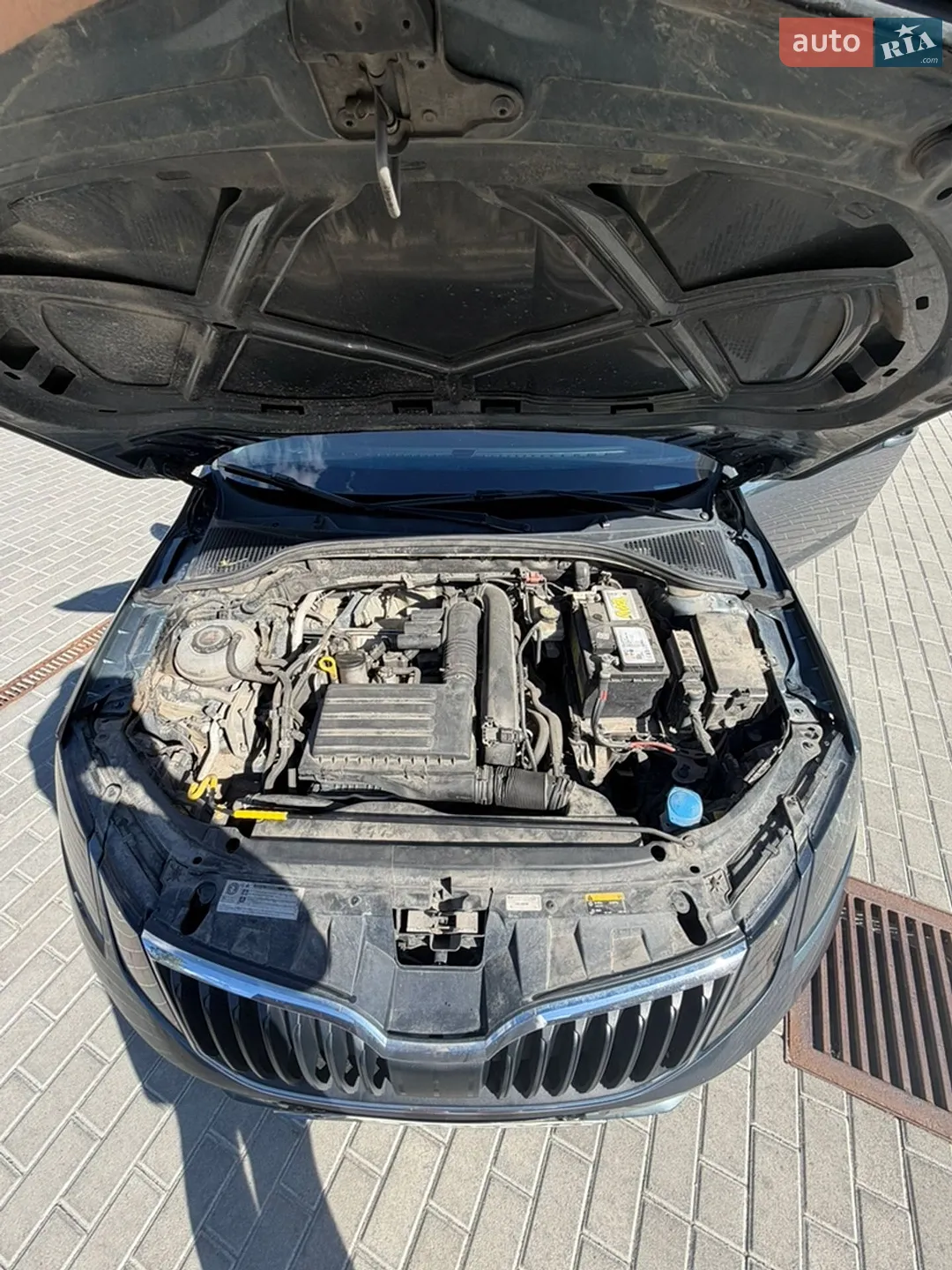 2019 Skoda Octavia - мініатюра 12