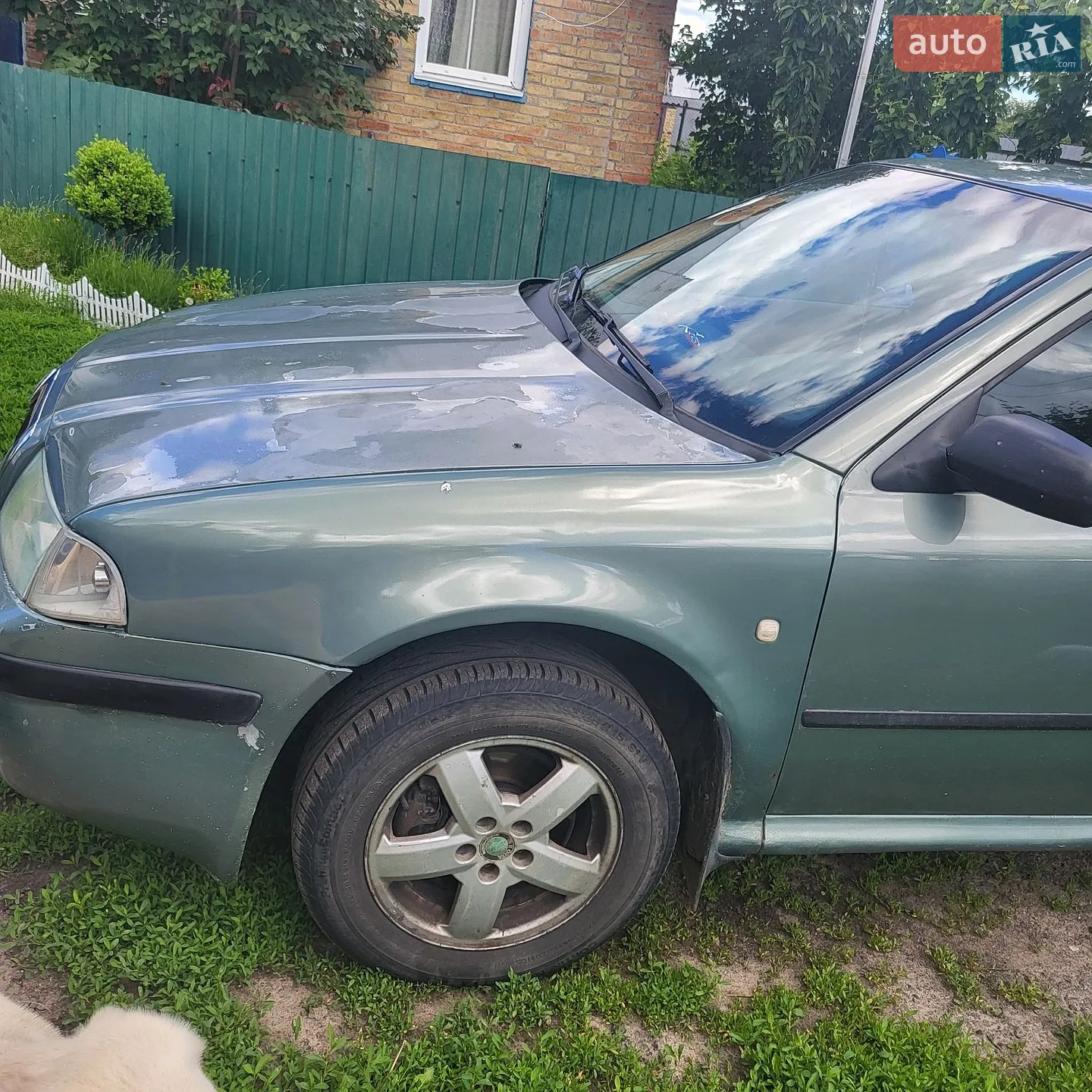 Skoda Octavia 2003 VIN TMBBL41U138702603 фото оголошення 3 з 15