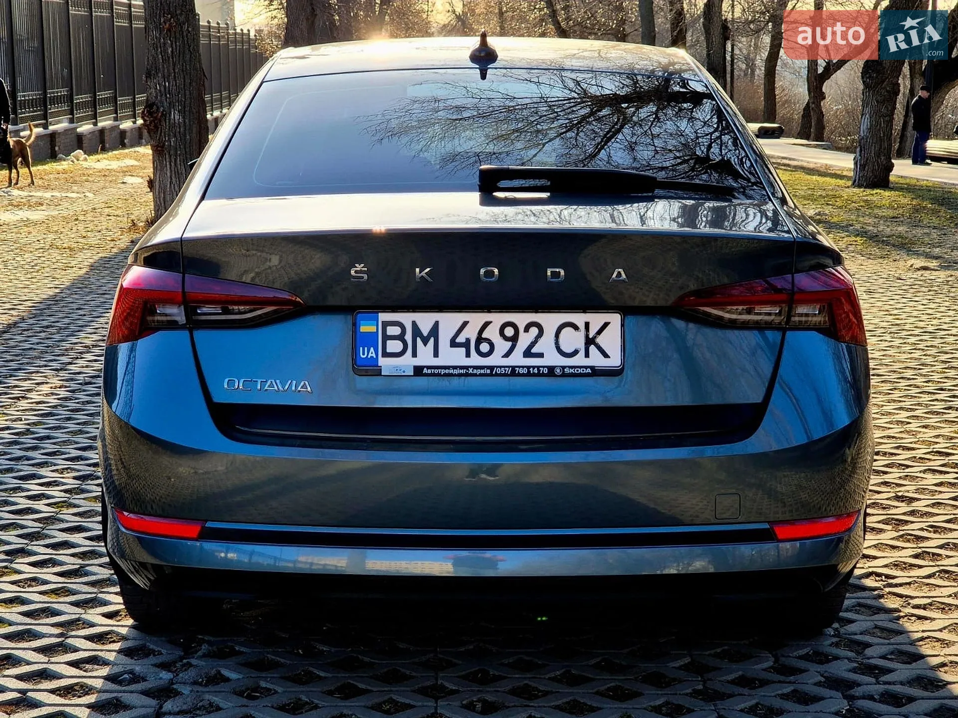 2021 Skoda Octavia - мініатюра 5