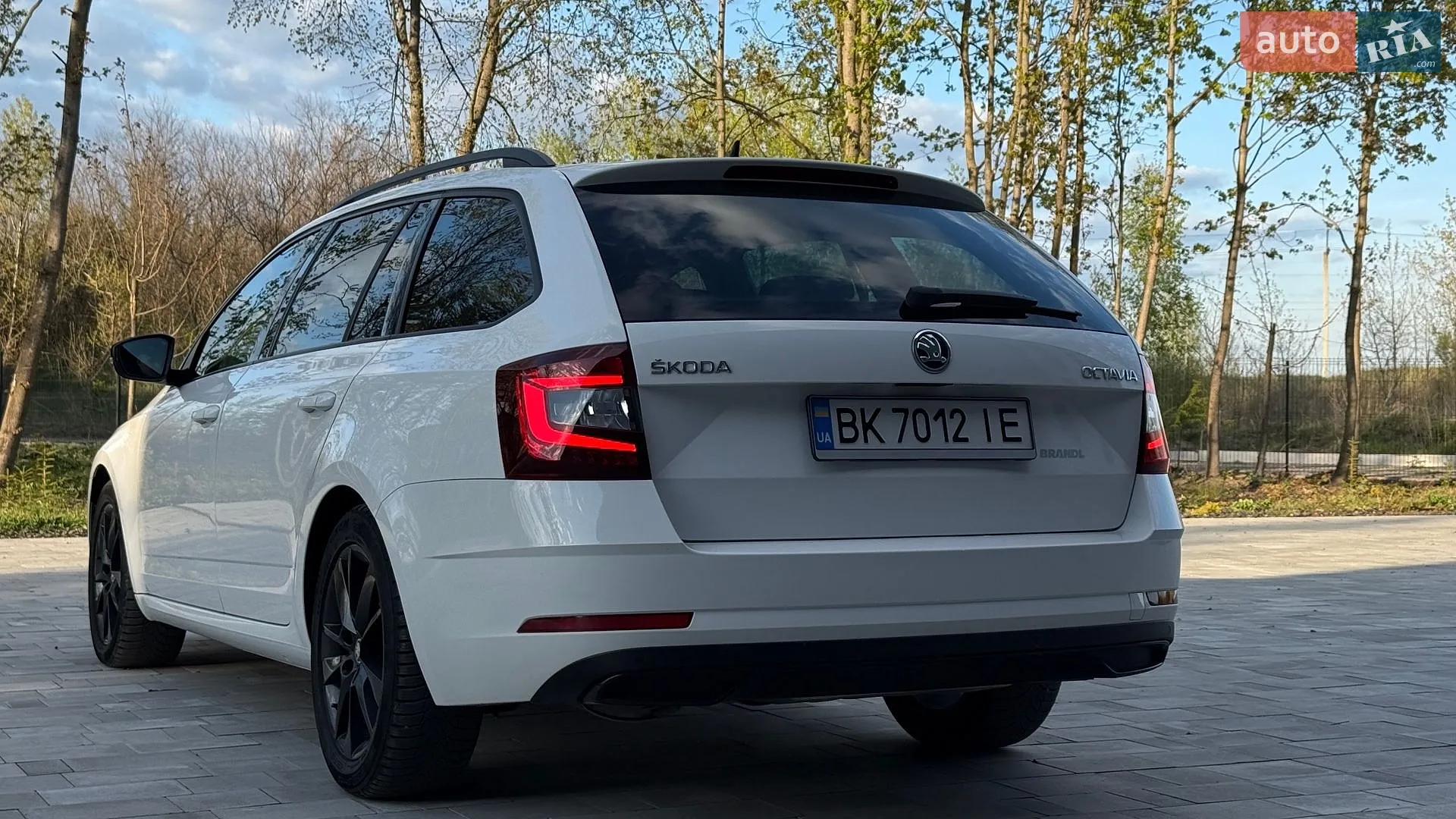 2019 Skoda Octavia - мініатюра 8