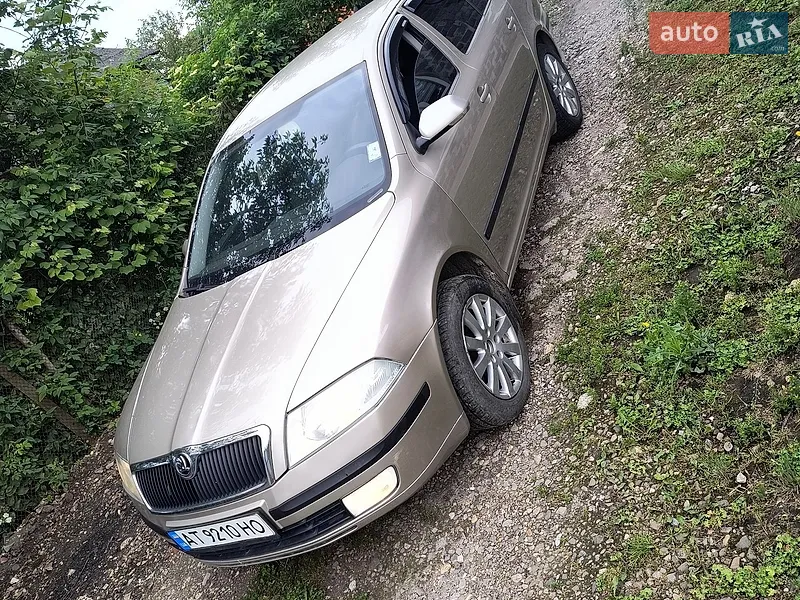 Skoda Octavia 2003 VIN TMBHP21U732786531 фото оголошення 18 з 47