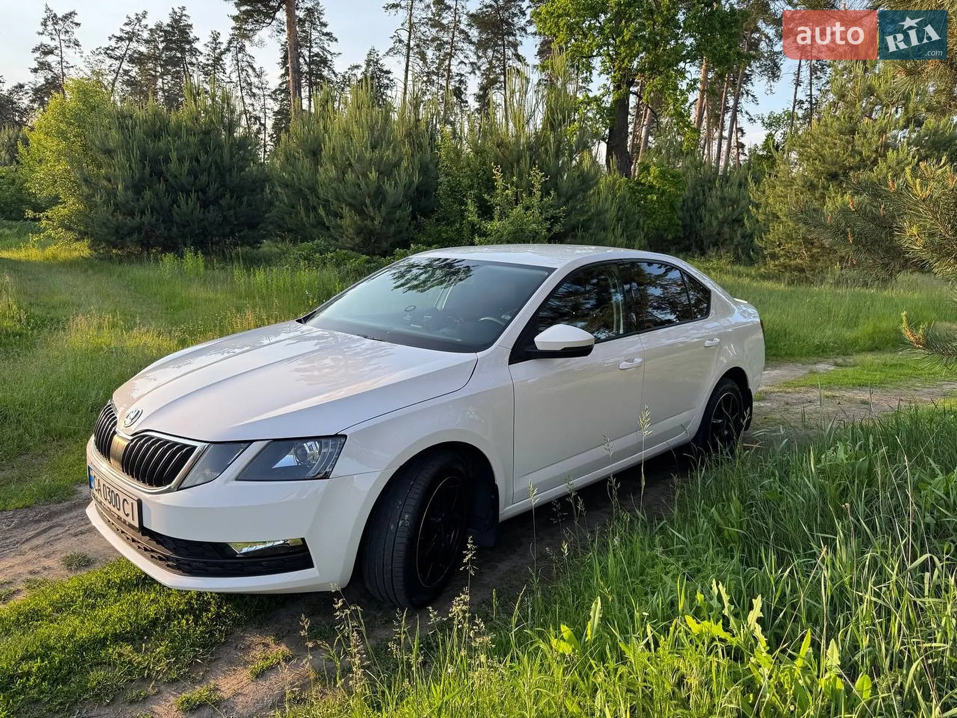 2017 Skoda Octavia - мініатюра 3