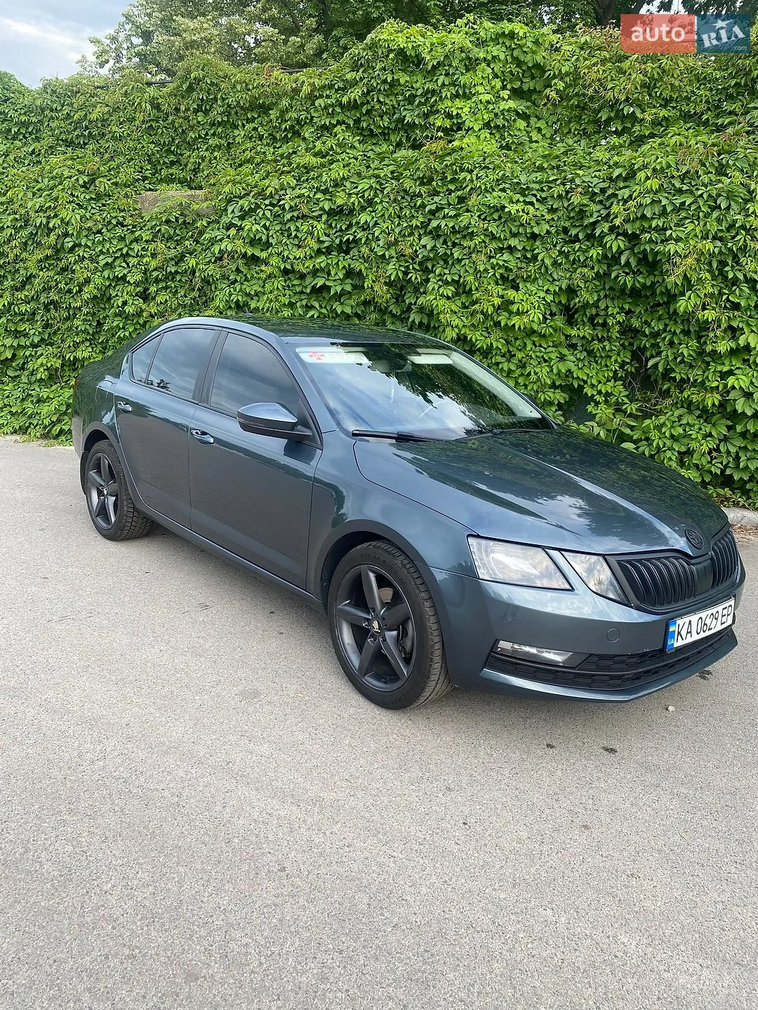 2017 Skoda Octavia - мініатюра 3