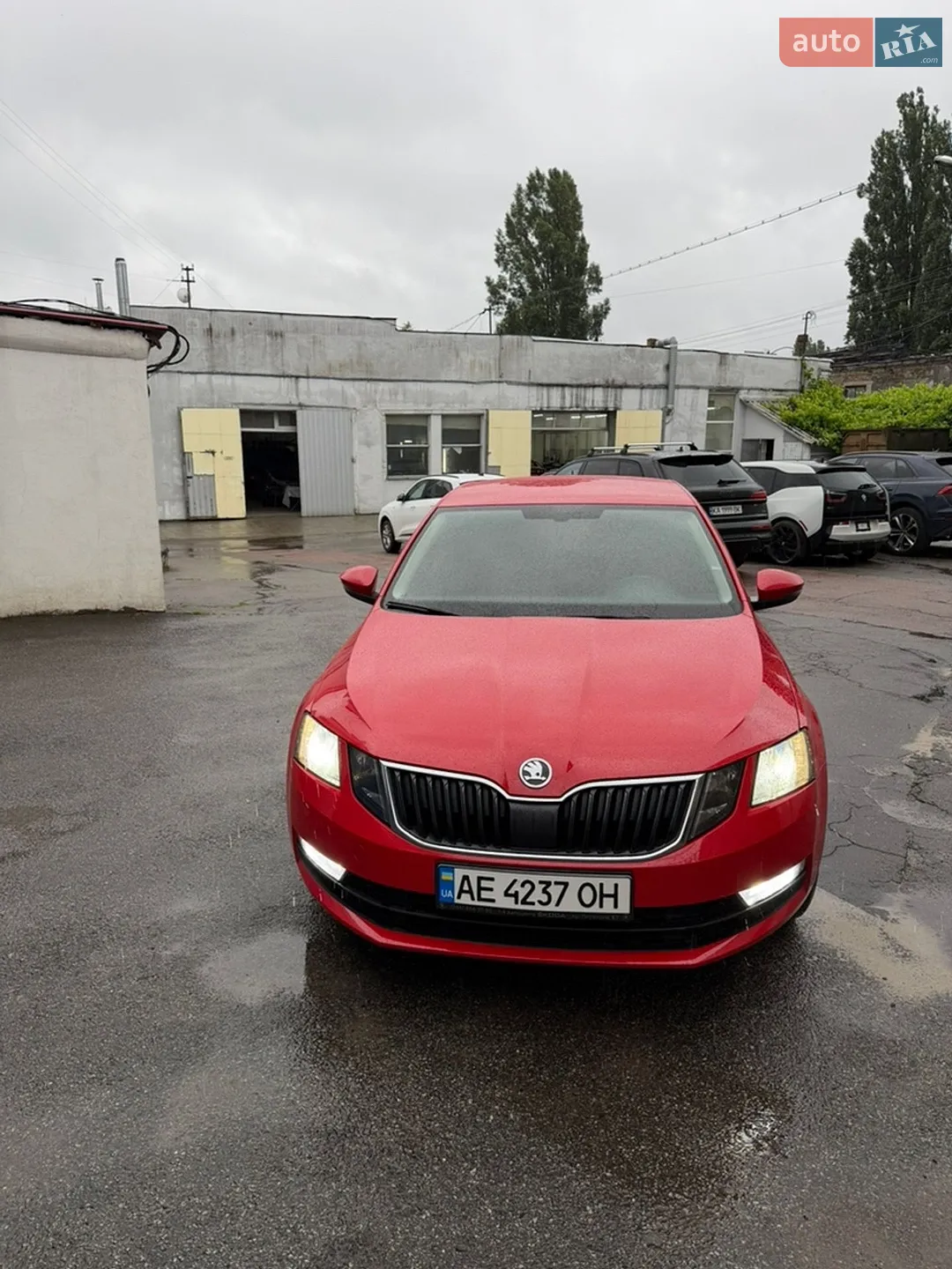 2020 Skoda Octavia - мініатюра 6