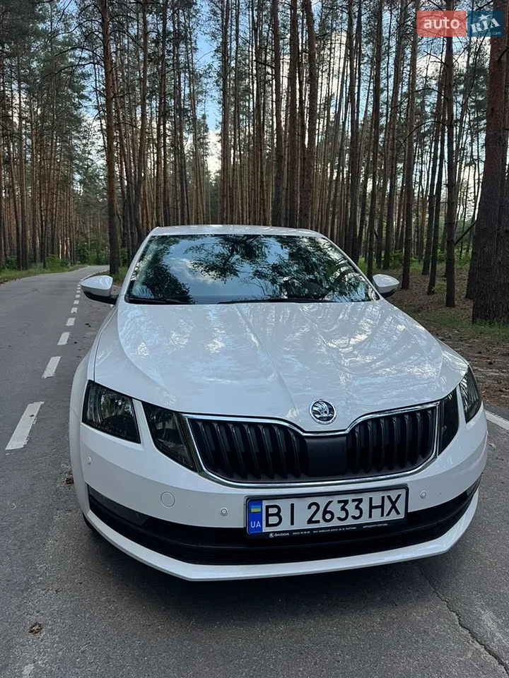 2018 Skoda Octavia - мініатюра 26