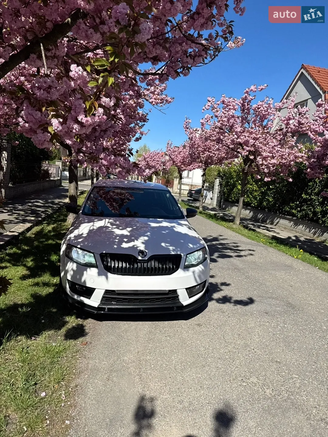 2013 Skoda Octavia - мініатюра 19