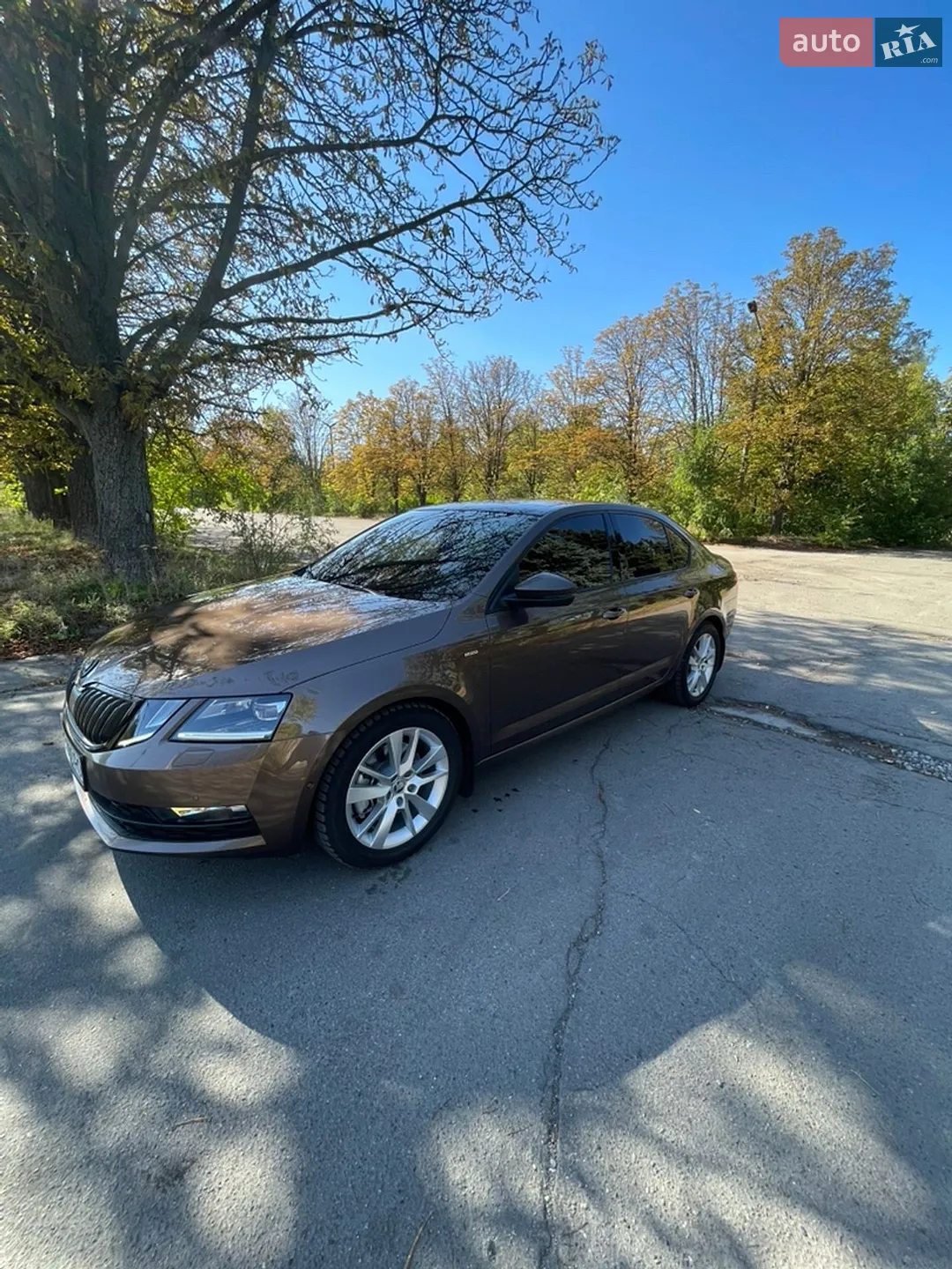 2018 Skoda Octavia - мініатюра 6